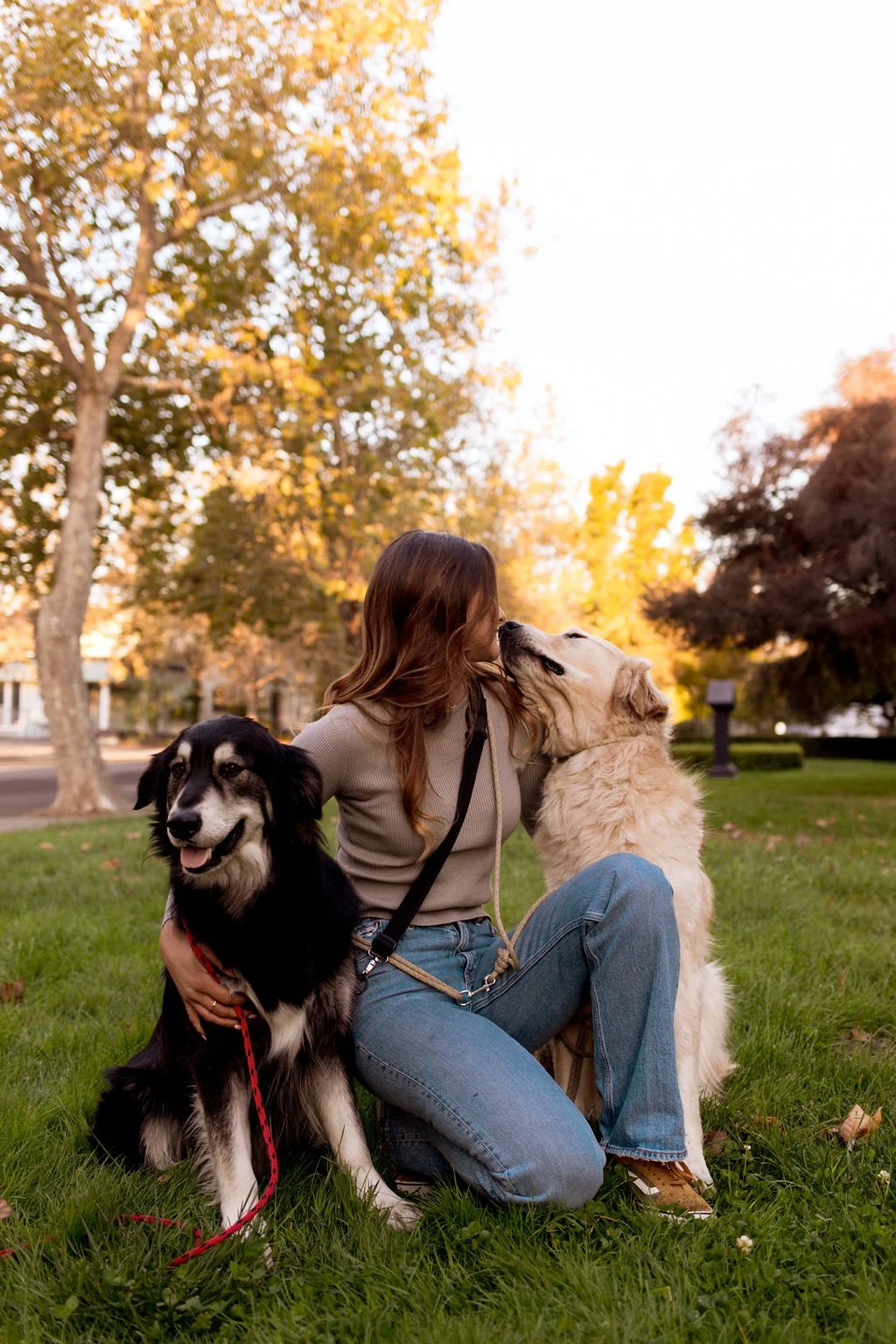 Woman sitting on grass with two dogs in an autumn park