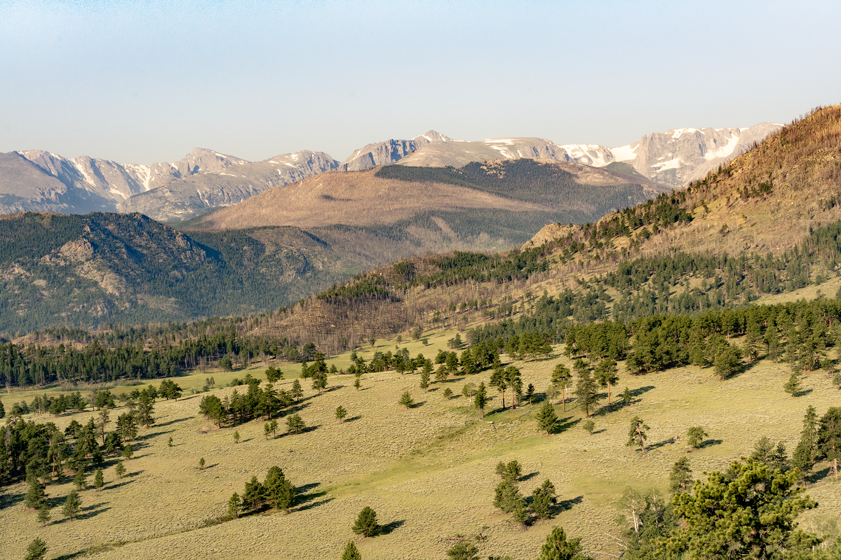 colorado 4.png