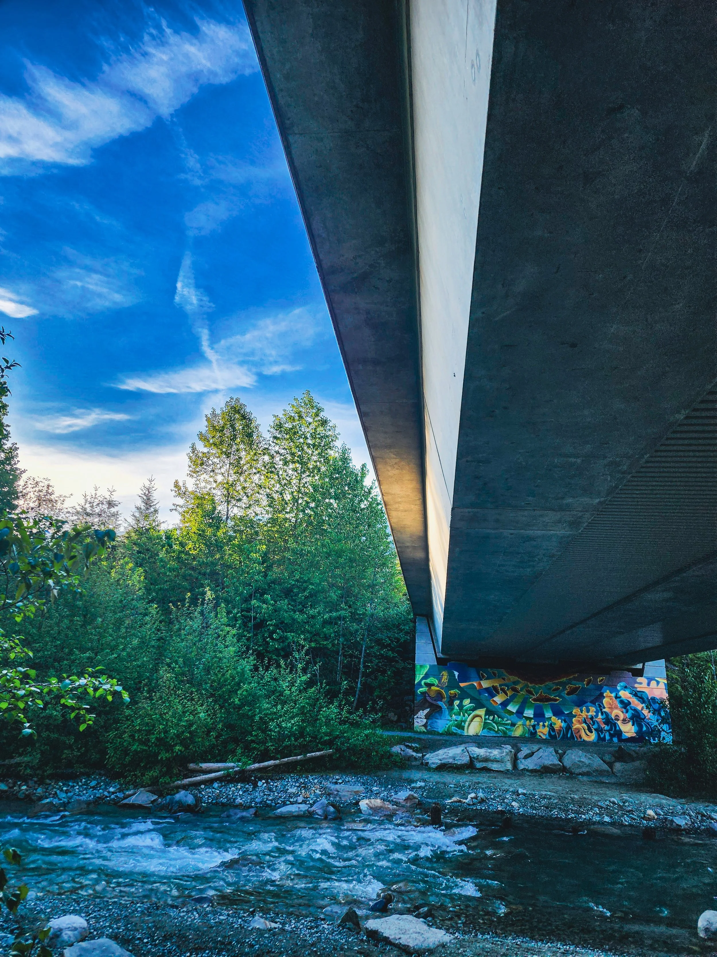 A modern bridge extending over a rocky stream surrounded by lush trees under a blue sky with wispy clouds.