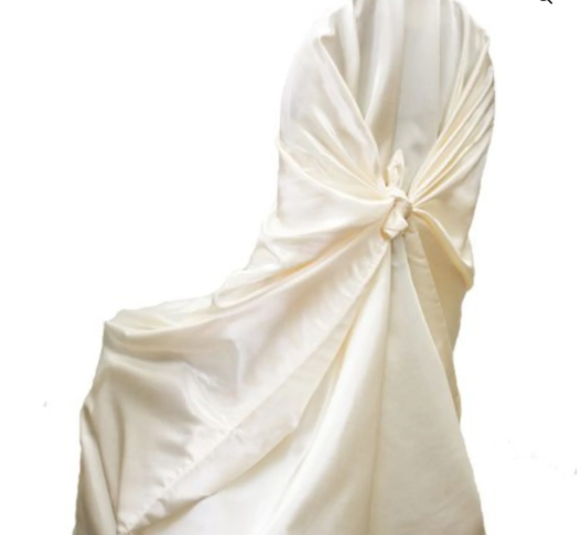 Elegant Chair Cover