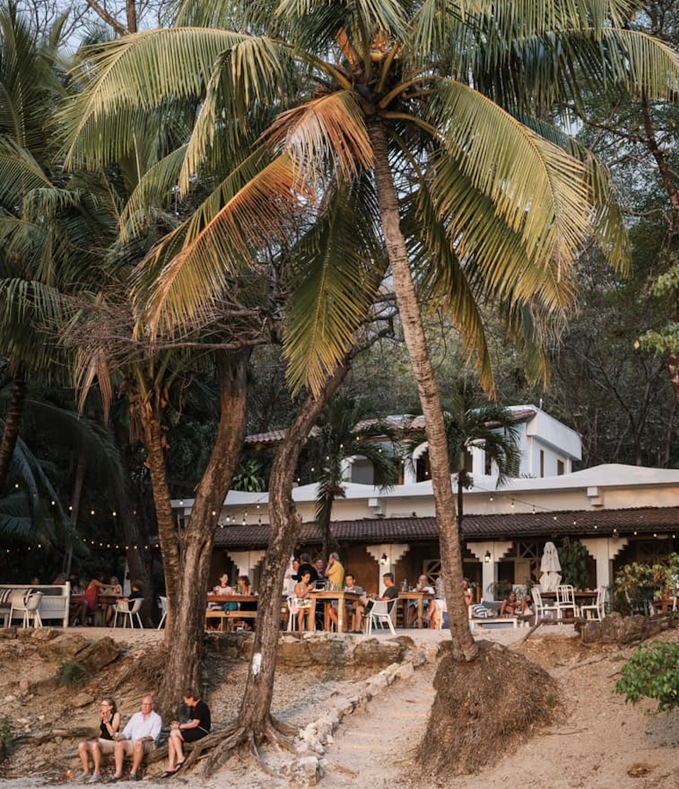 People dining outdoors at a restaurant with palm trees and string lights in a scenic, tropical setting during sunset.