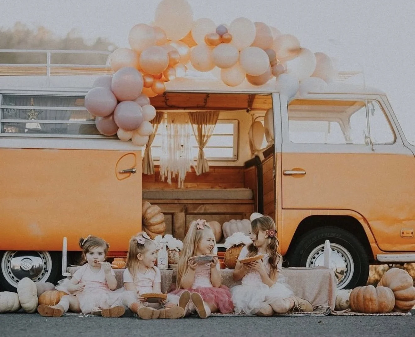 Kids picnic celebration with Nancy, orange VW bus, Knoxville TN