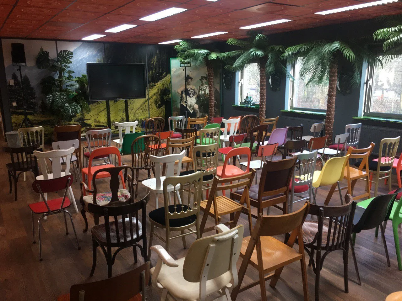 Ruimte met kleurrijke vintage stoelen, tropische planten, een groot scherm en ramen.
