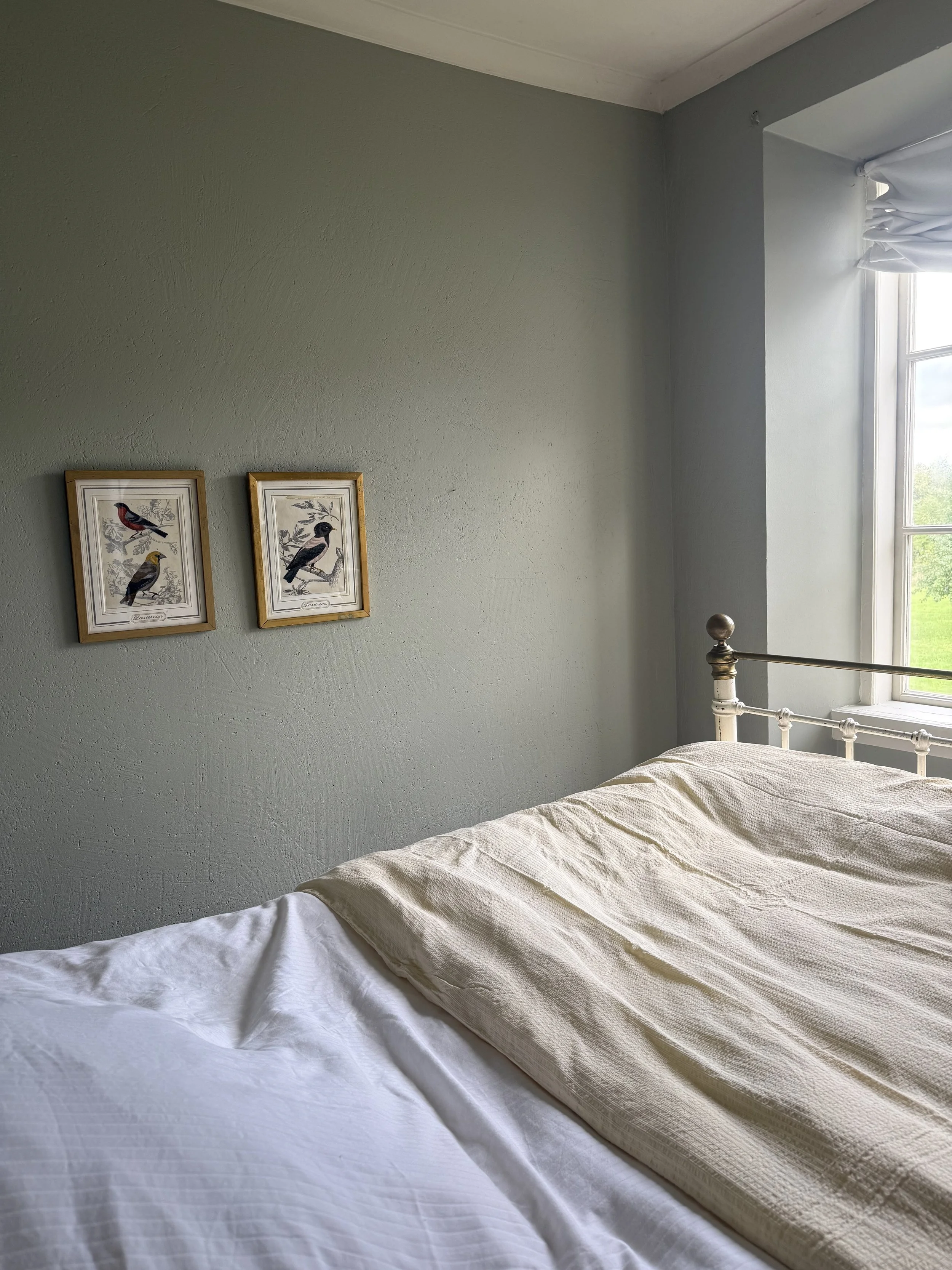Chambre avec lit en fer forgé, literie blanche, mur gris, tableaux d’oiseaux et fenêtre donnant sur la verdure.