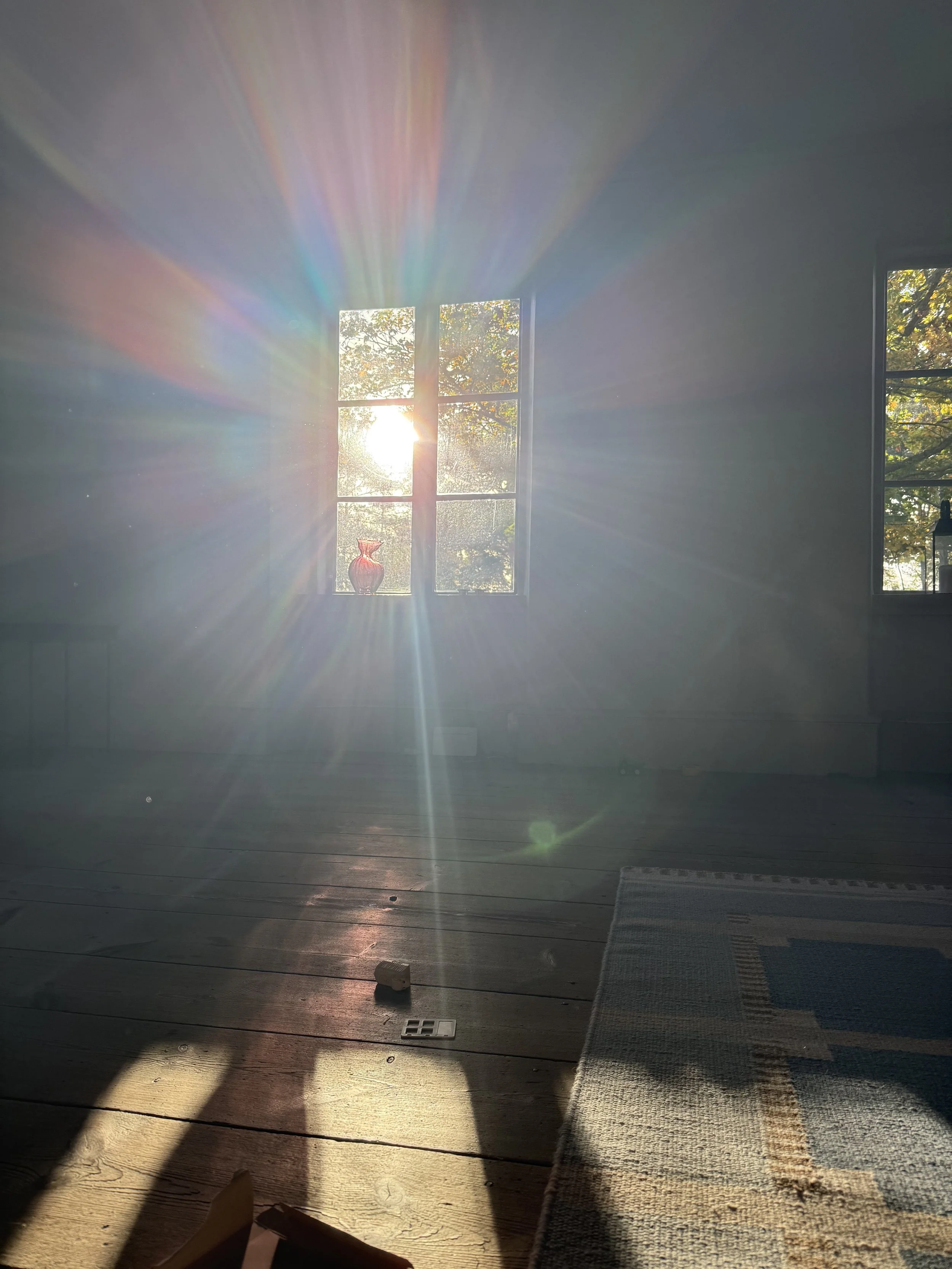 Pièce intérieure baignée de soleil, avec fenêtres donnant sur des arbres, parquet en bois et tapis tissé.