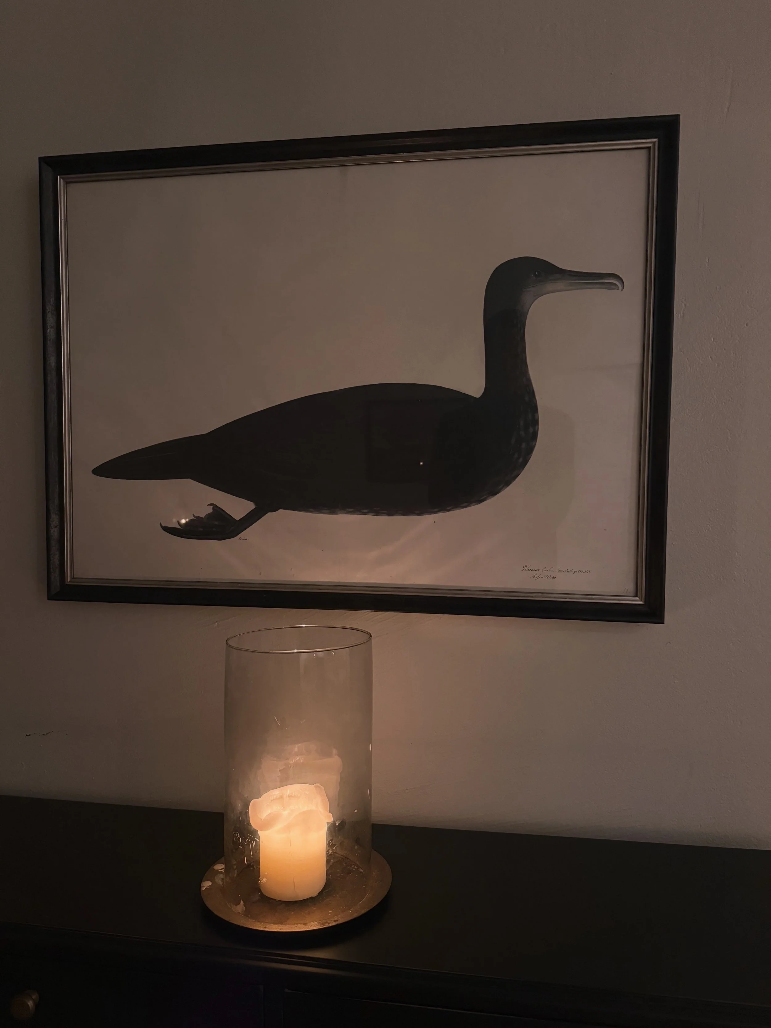 Illustration encadrée d’un cormoran noir au-dessus d’une bougie allumée dans un photophore en verre.