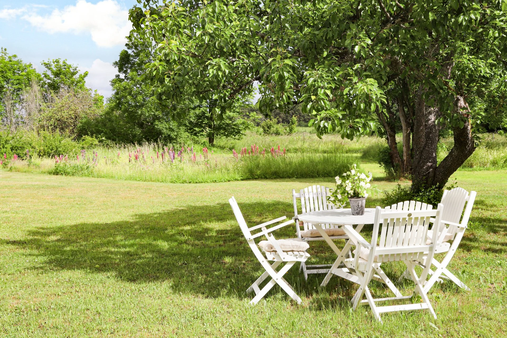 Salon de jardin blanc avec table et chaises sous un arbre, dans une prairie fleurie ensoleillée.