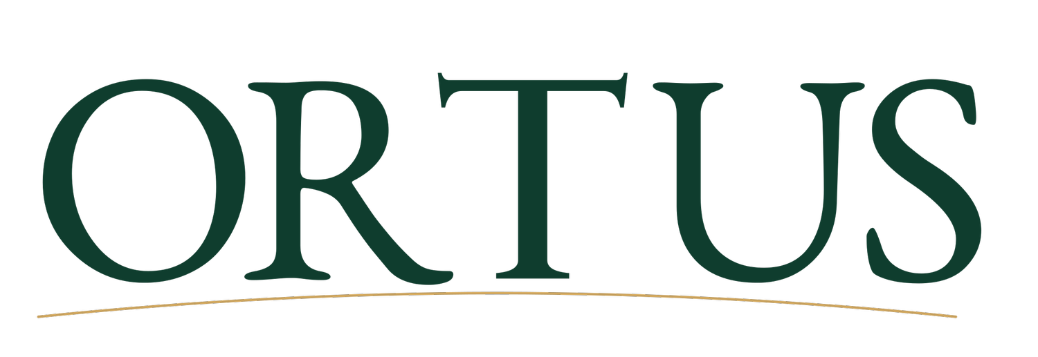 Ortus Leadership Development