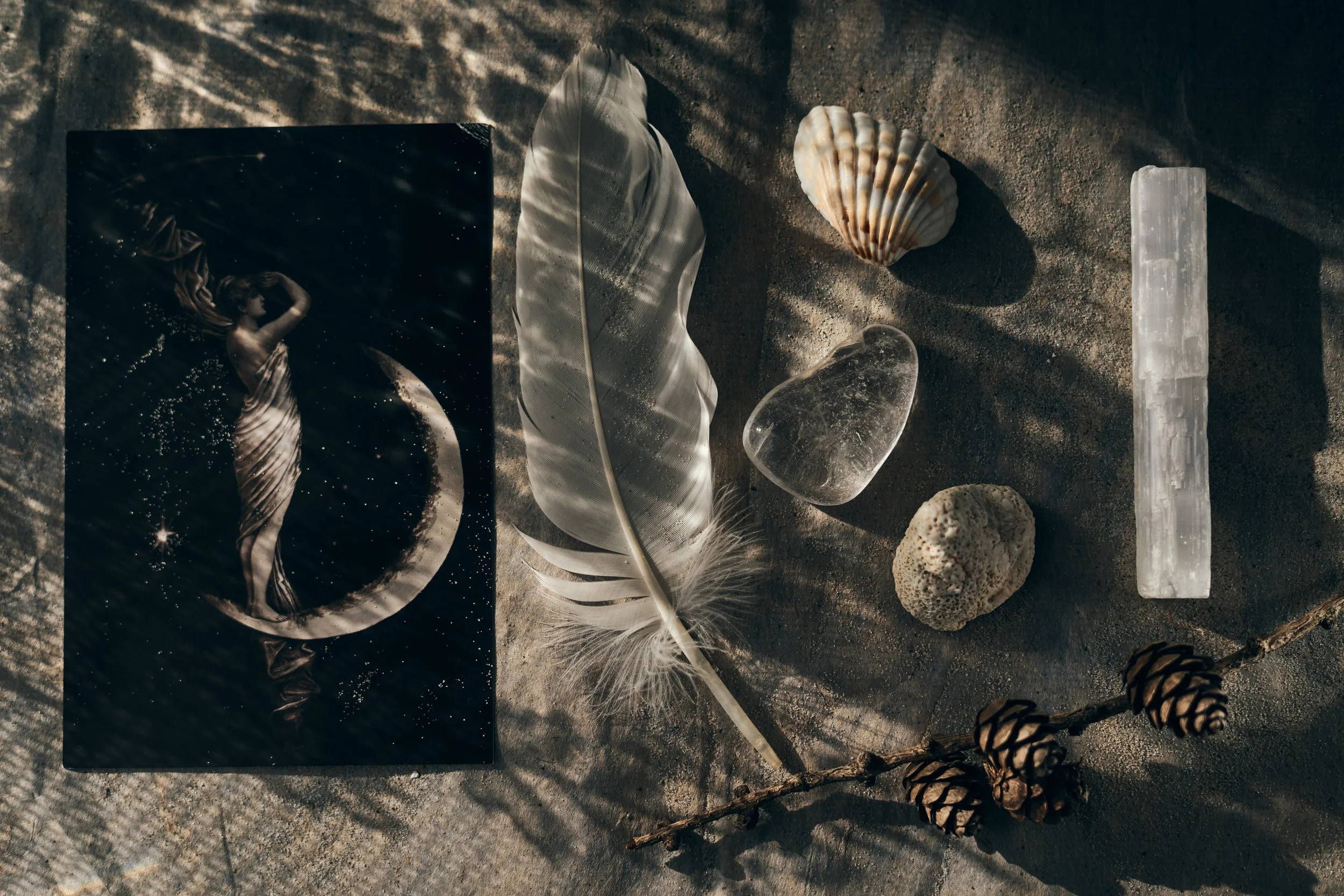 Moody still life with a vintage mermaid photograph, white feather, seashell, quartz crystal, coral, and pinecones on a dark textured surface