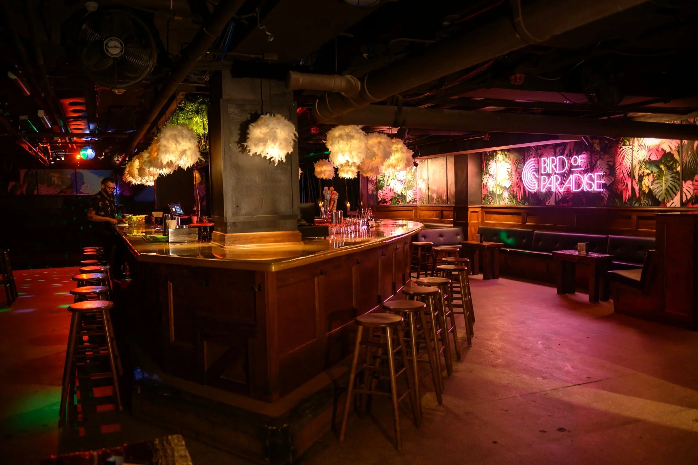 Tropical-themed nightclub bar with colorful lighting, feathered pendant lamps, lounge seating, and a neon “Bird of Paradise” sign.