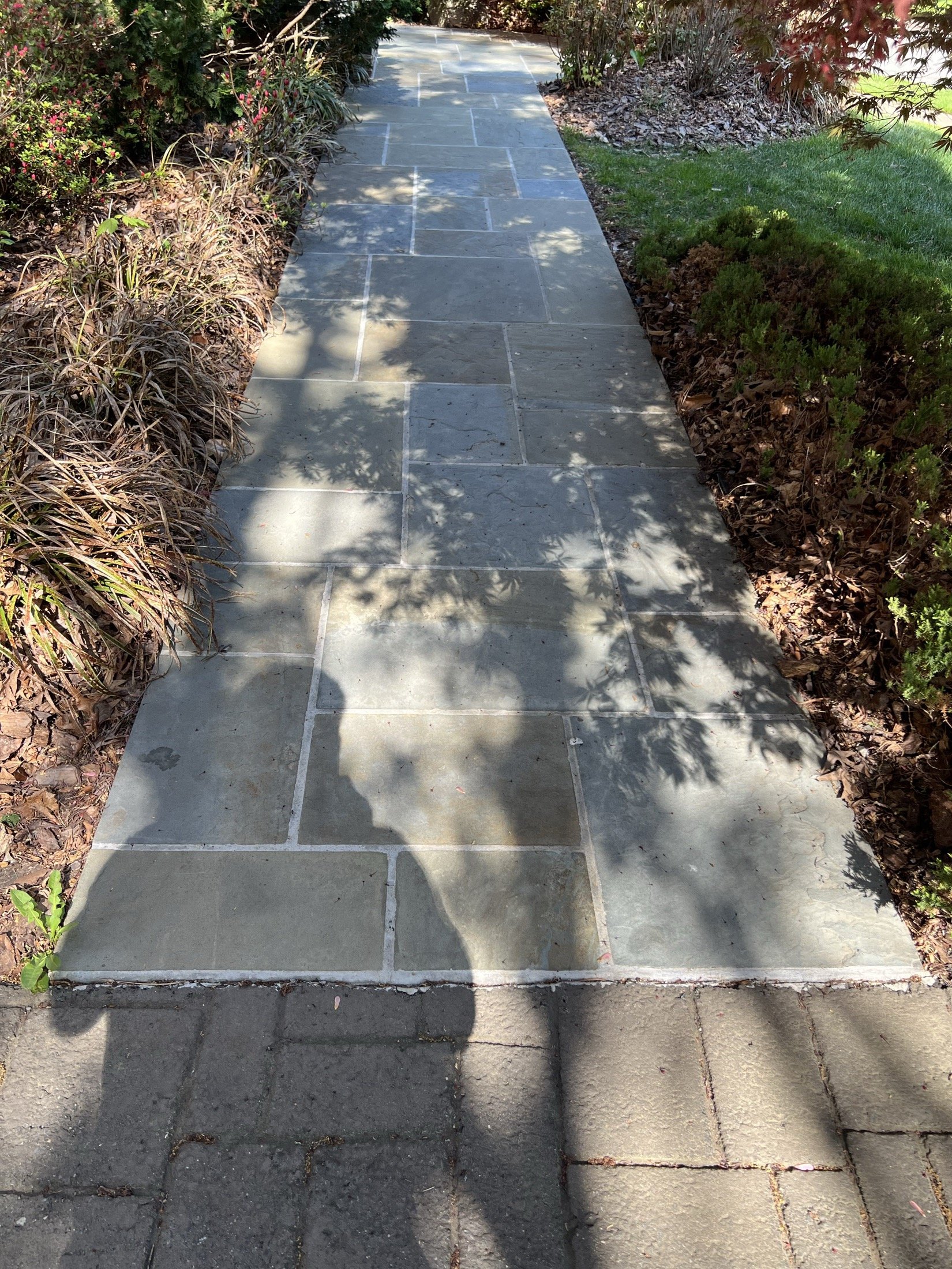 Flagstone garden walkway bordered by landscaped plants and grass