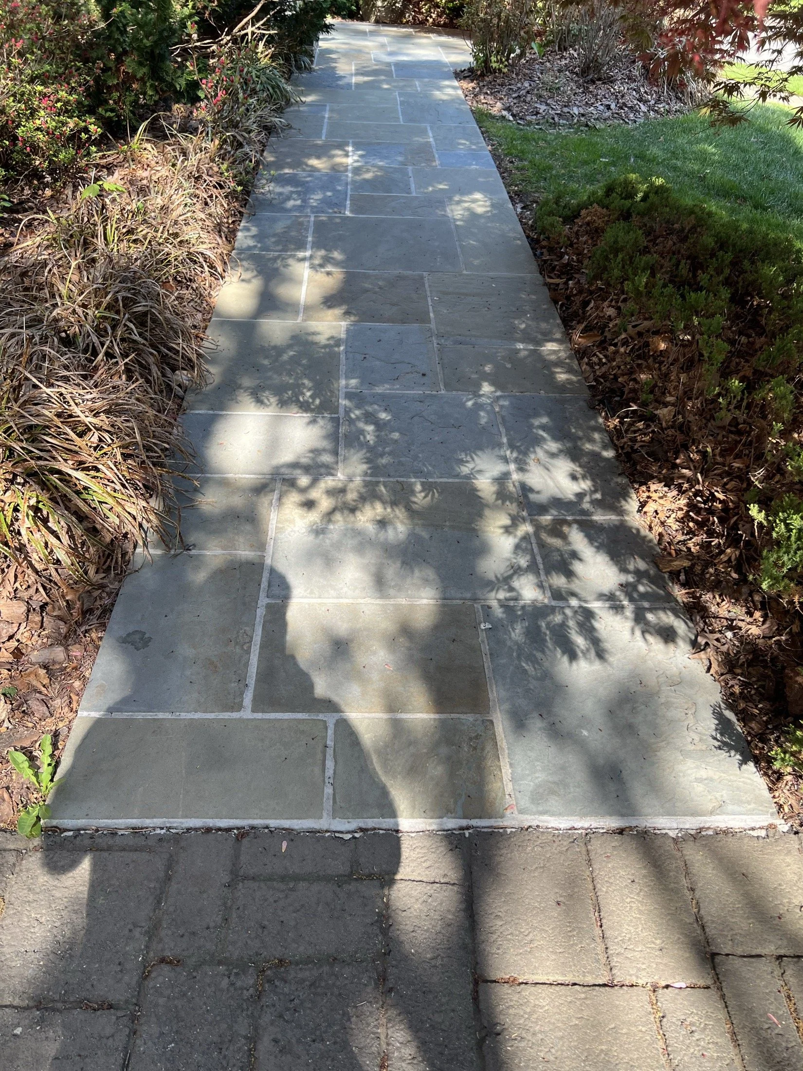 Slate stone garden walkway bordered by landscaped plants and grass.
