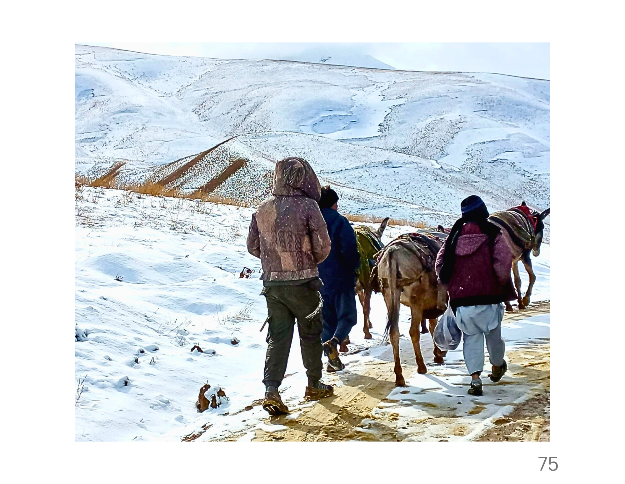 Boys make their way on foot alongside donkeys through snow, mud and ice in Afghanistan’s Central Highlands. In winter, journeys that are straightforward in warmer months become difficult and demanding, as frozen paths and snow-covered terrain shape e
