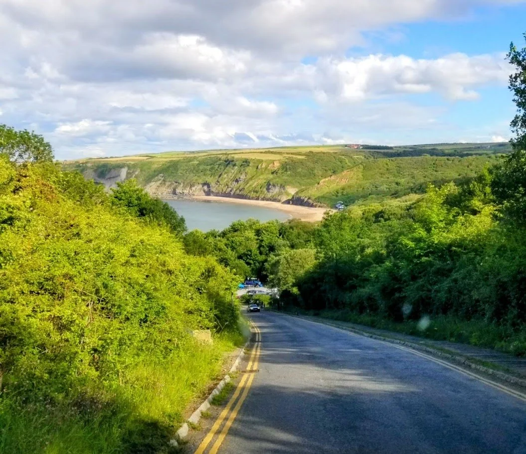 A winding road through green trees leading towards a bay with cliffs and a cloudy sky overhead.