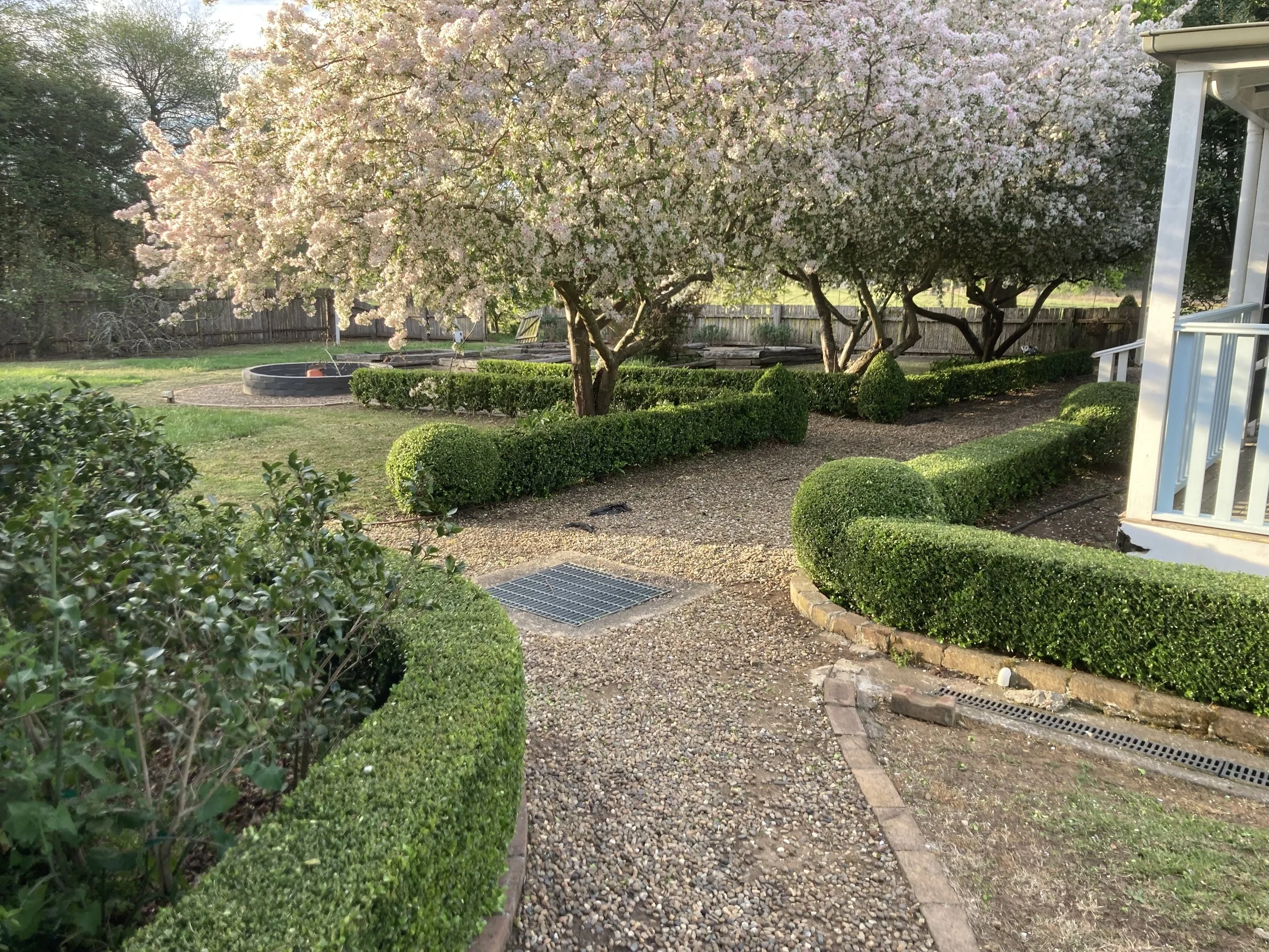 Formal garden with precision-trimmed hedges and rounded topiary beneath flowering crab apple trees, showcasing professional hedge trimming and topiary maintenance by Morris Hedging & Topiary in the Southern Highlands, NSW.