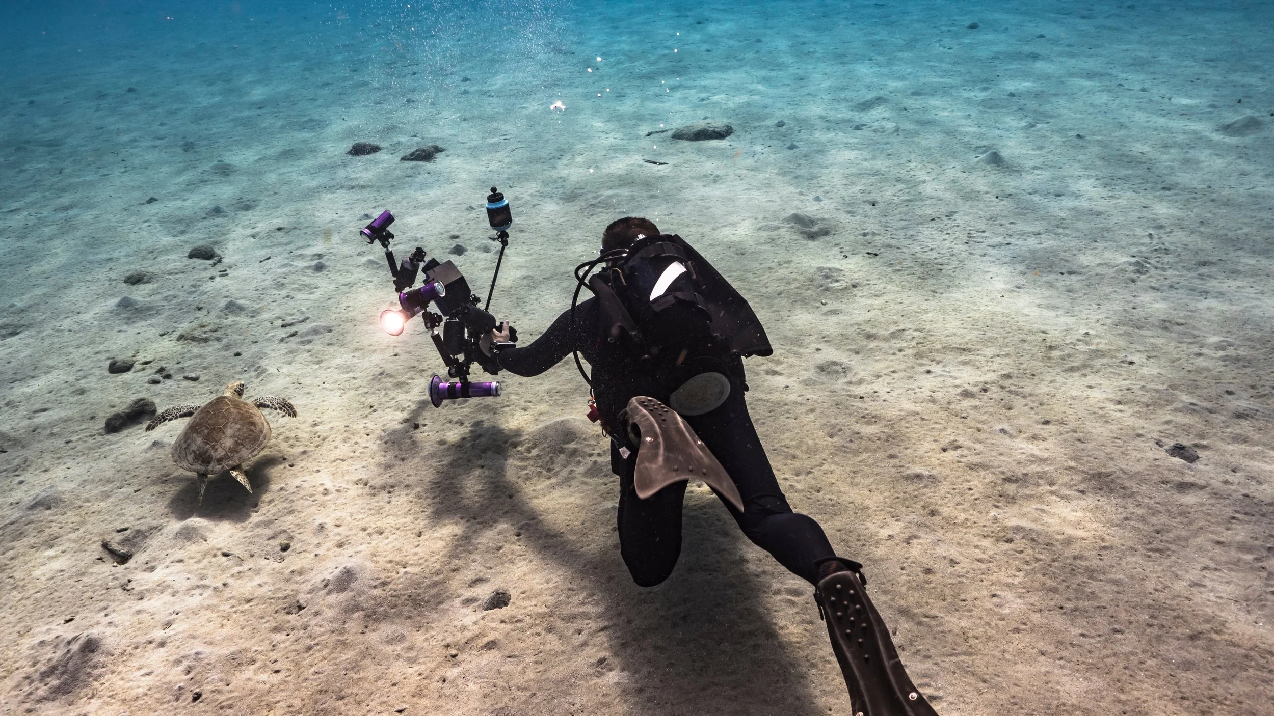 Person in scuba diving gear kneeling on the sandy ocean floor, taking a photo of a small turtle with a camera mounted on a stabilizer, with clear blue water and scattered rocks in the background.