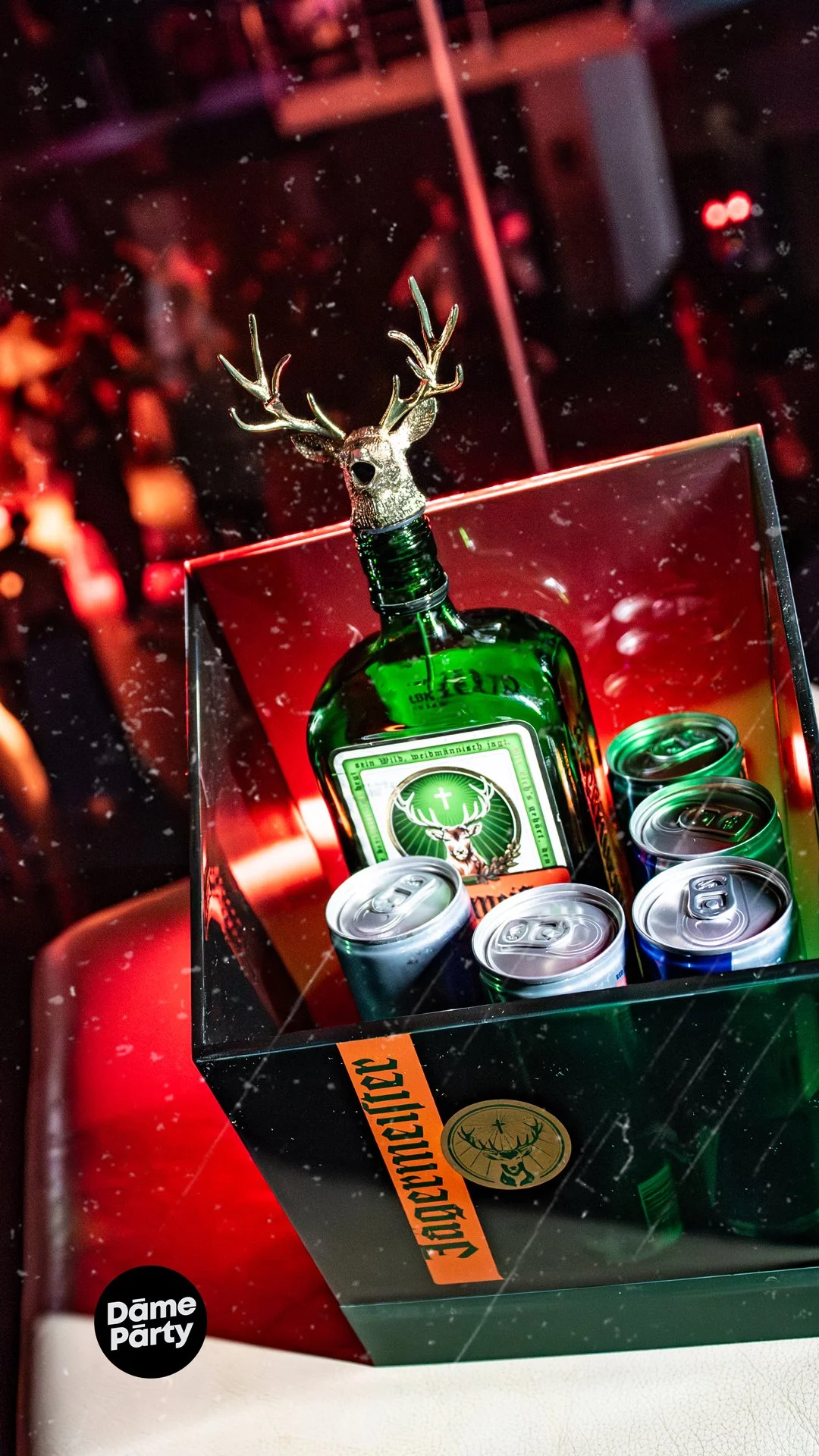 Bottle_Jager_storka.jpg