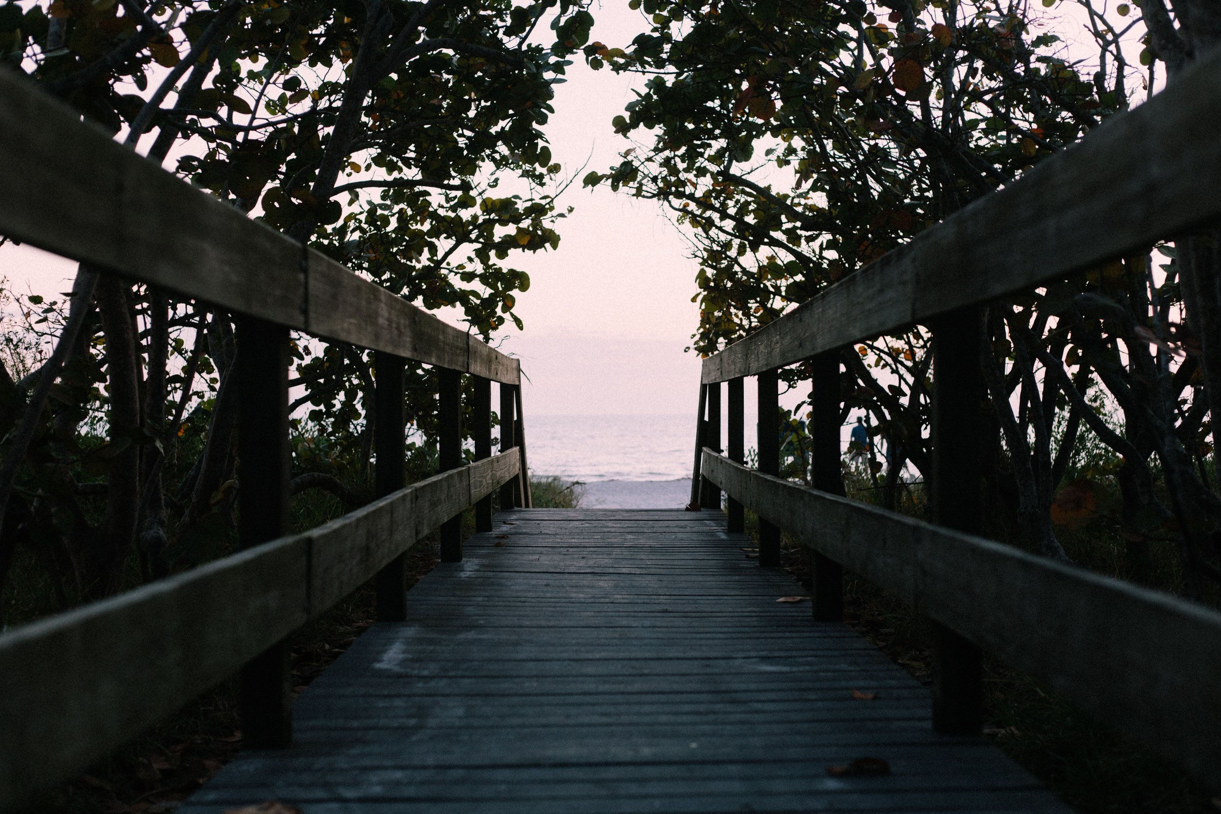 A wooden bridge surrounded by dense greenery leading towards the beach, with the ocean visible in the distance under an overcast sky.
