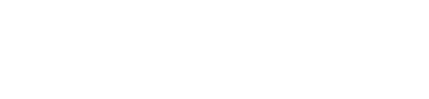 Sussex &amp; Brighton Strategic Authority