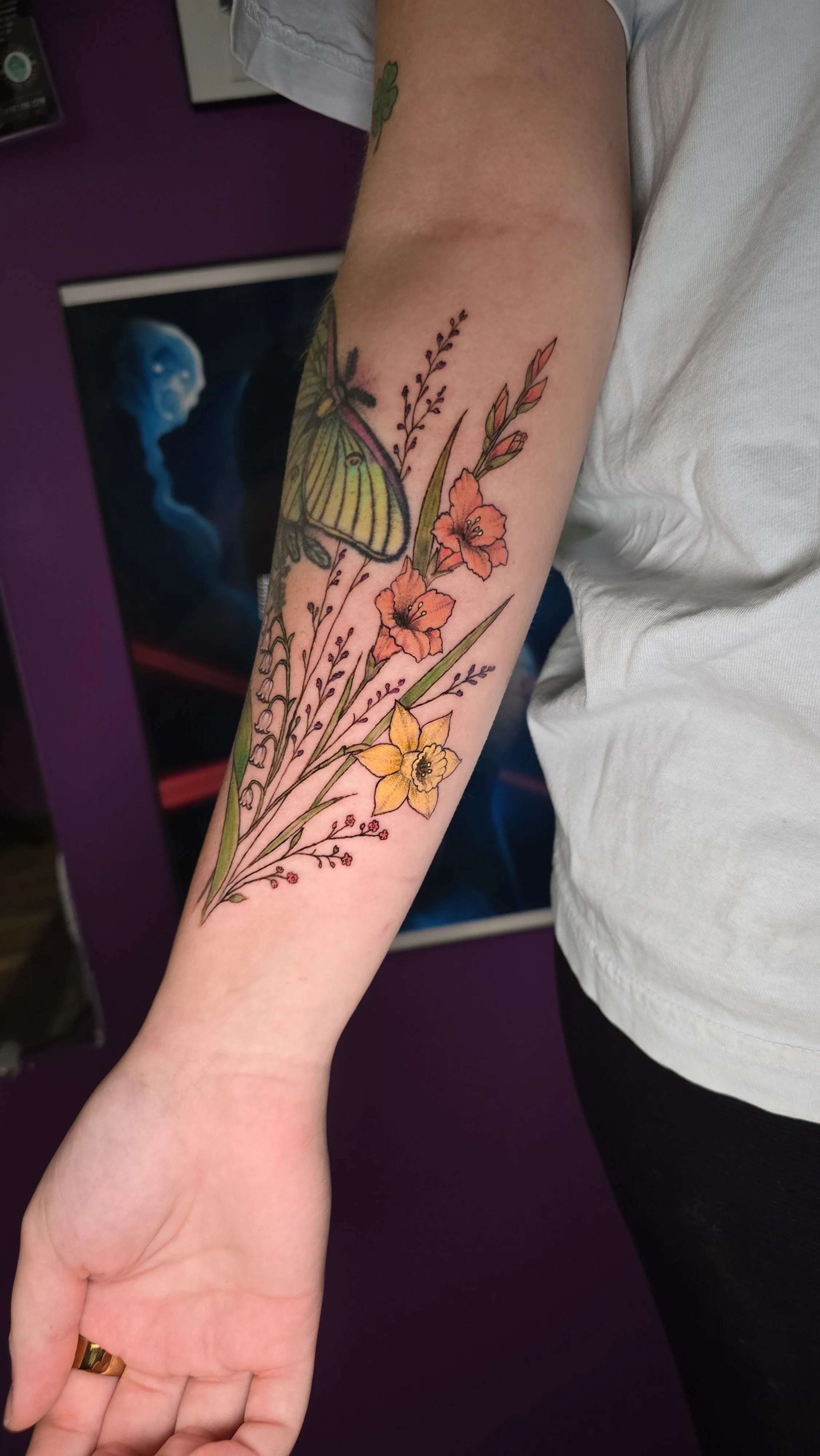 Cherae · Botanical color and butterfly detail