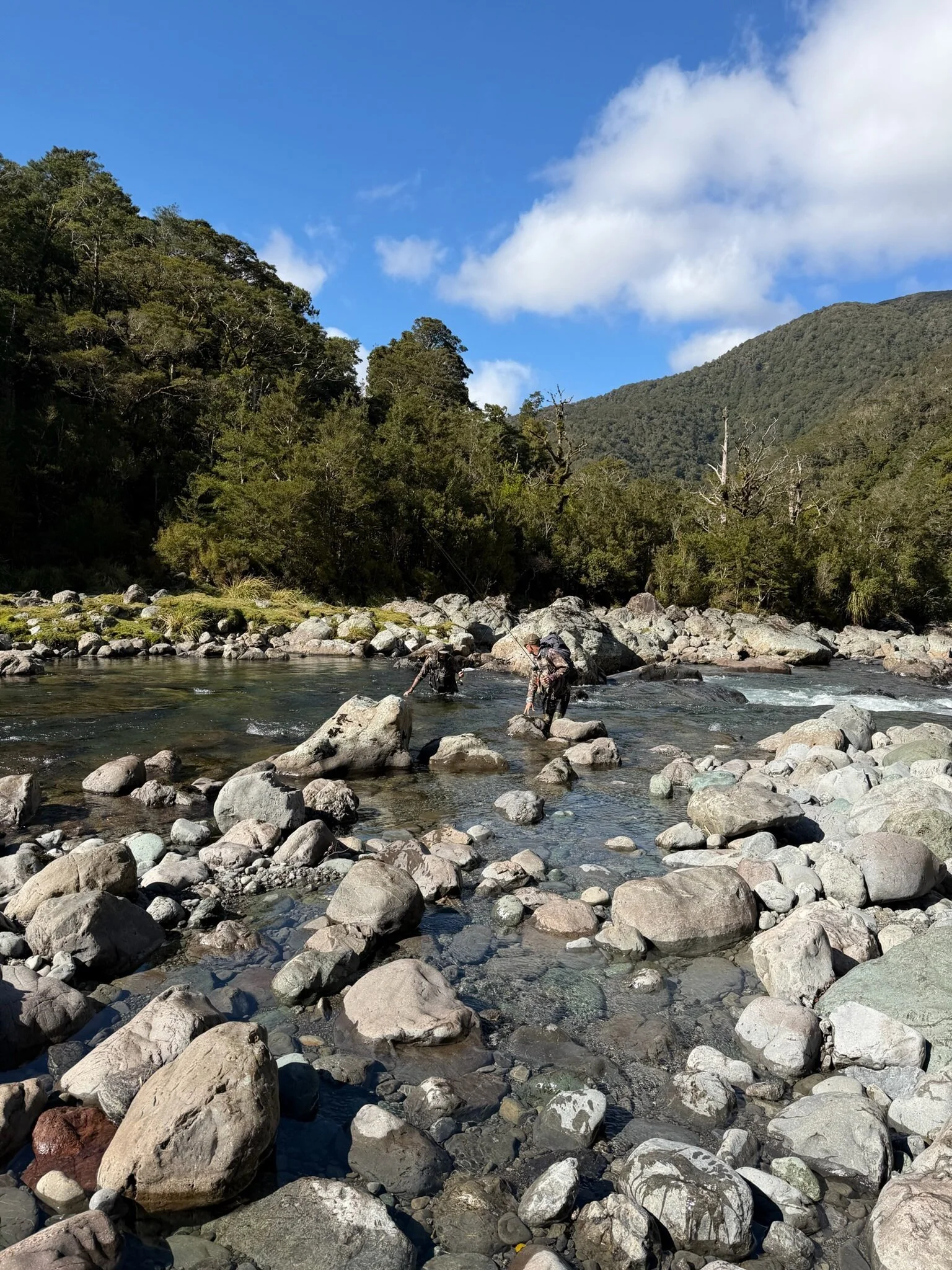 Quiet pool in the Wairarapa countryside