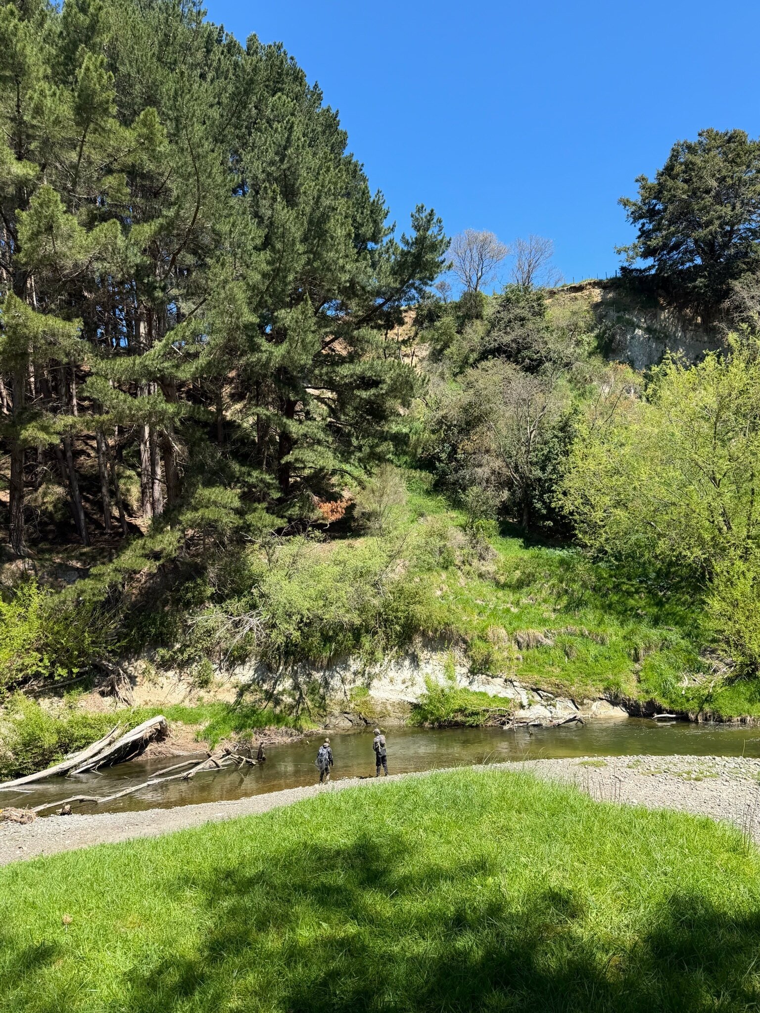 Angler-In-Stream.jpg