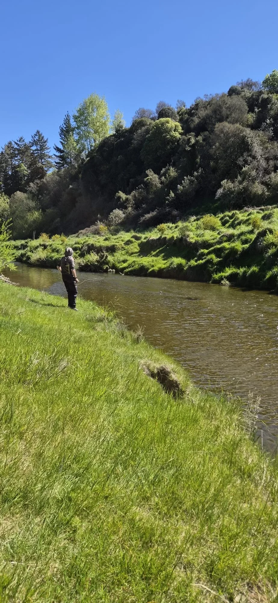 Angler-With-Trout-01.jpg