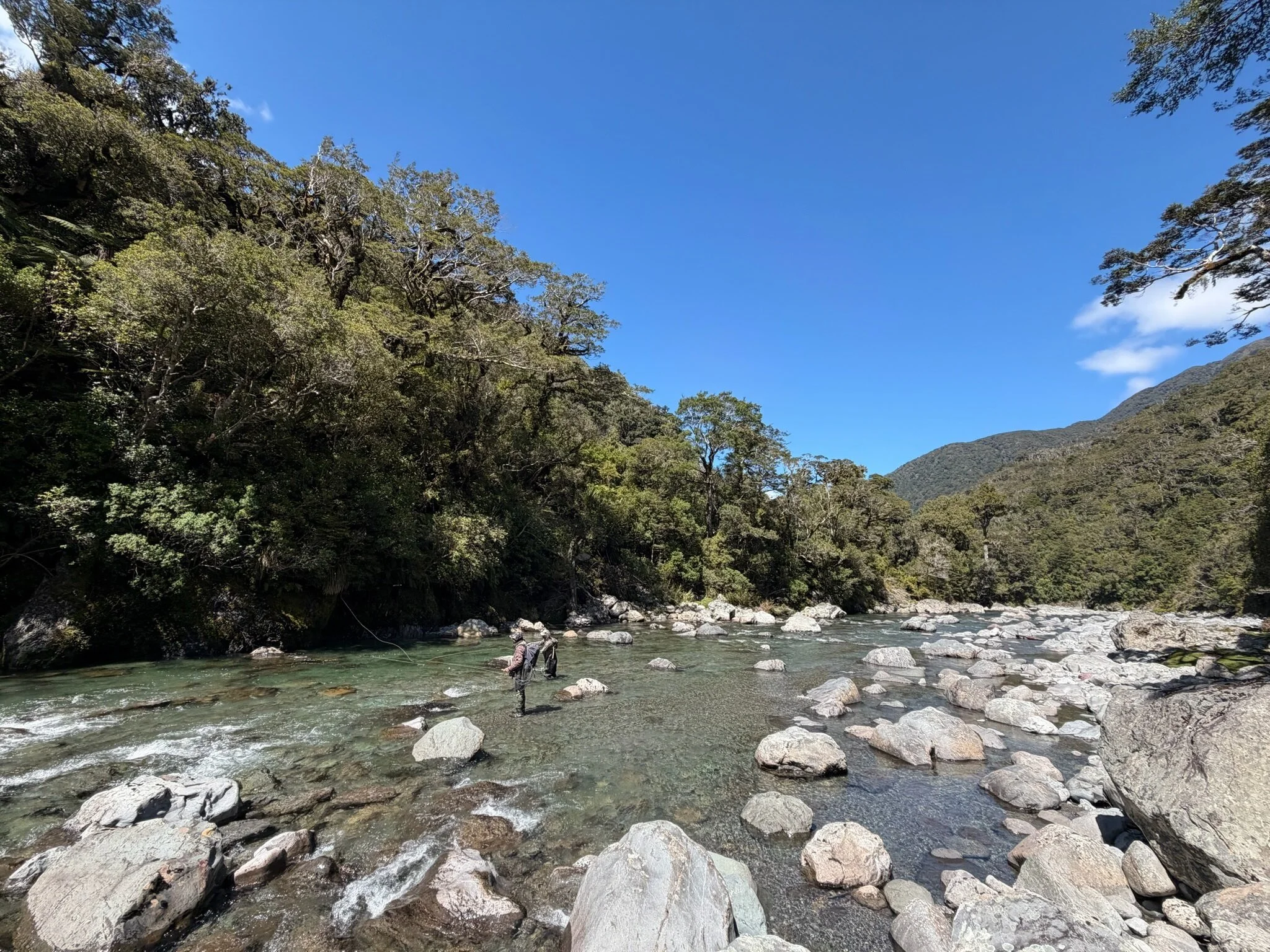 Wairarapa river valley with clear water and forested banks