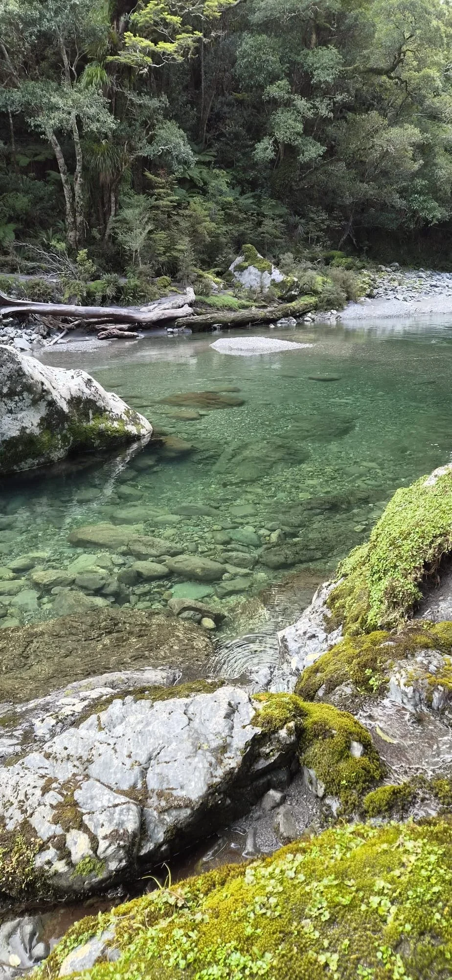 River-Pool-01.jpg