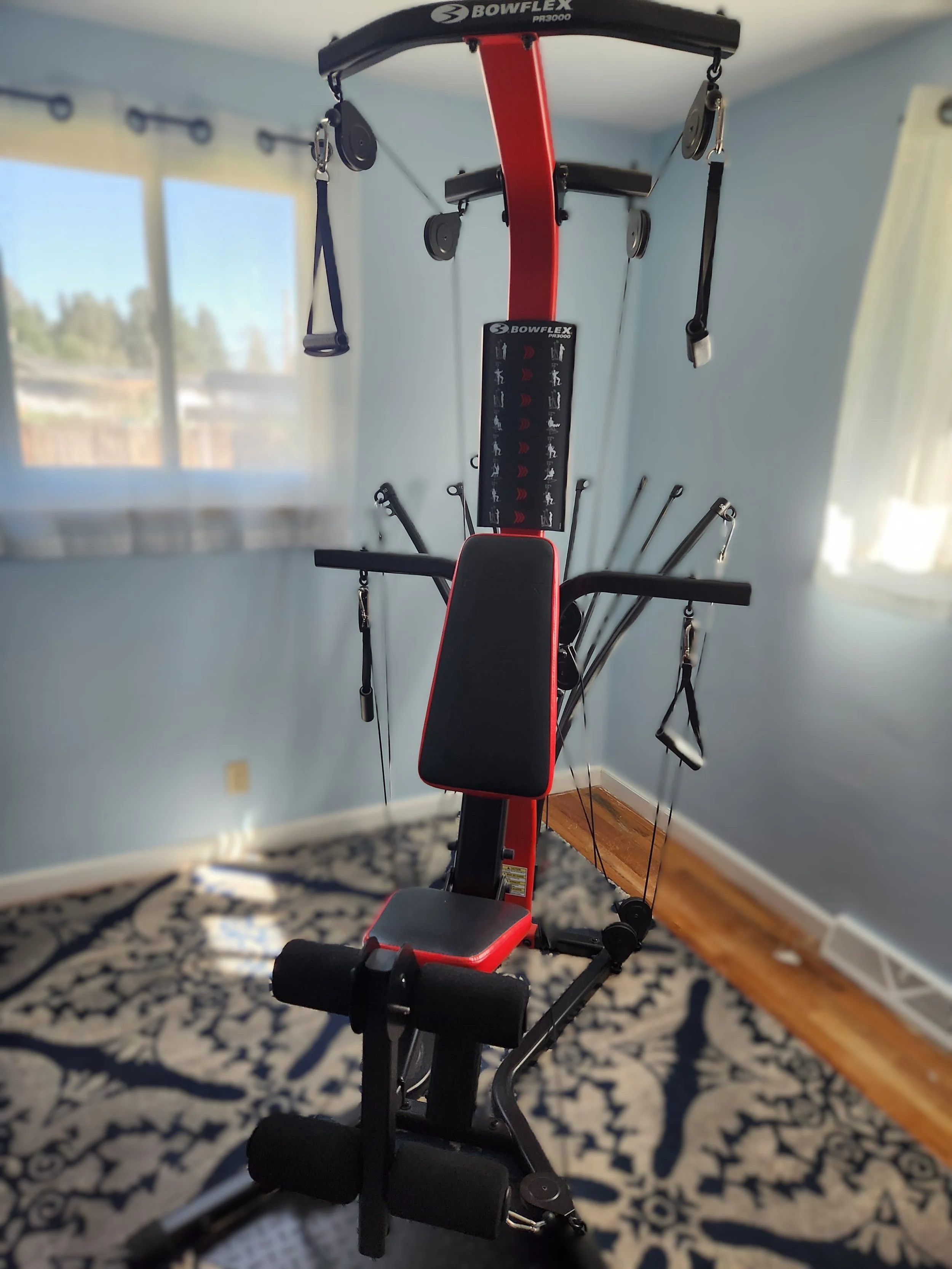 bowflex.jpg