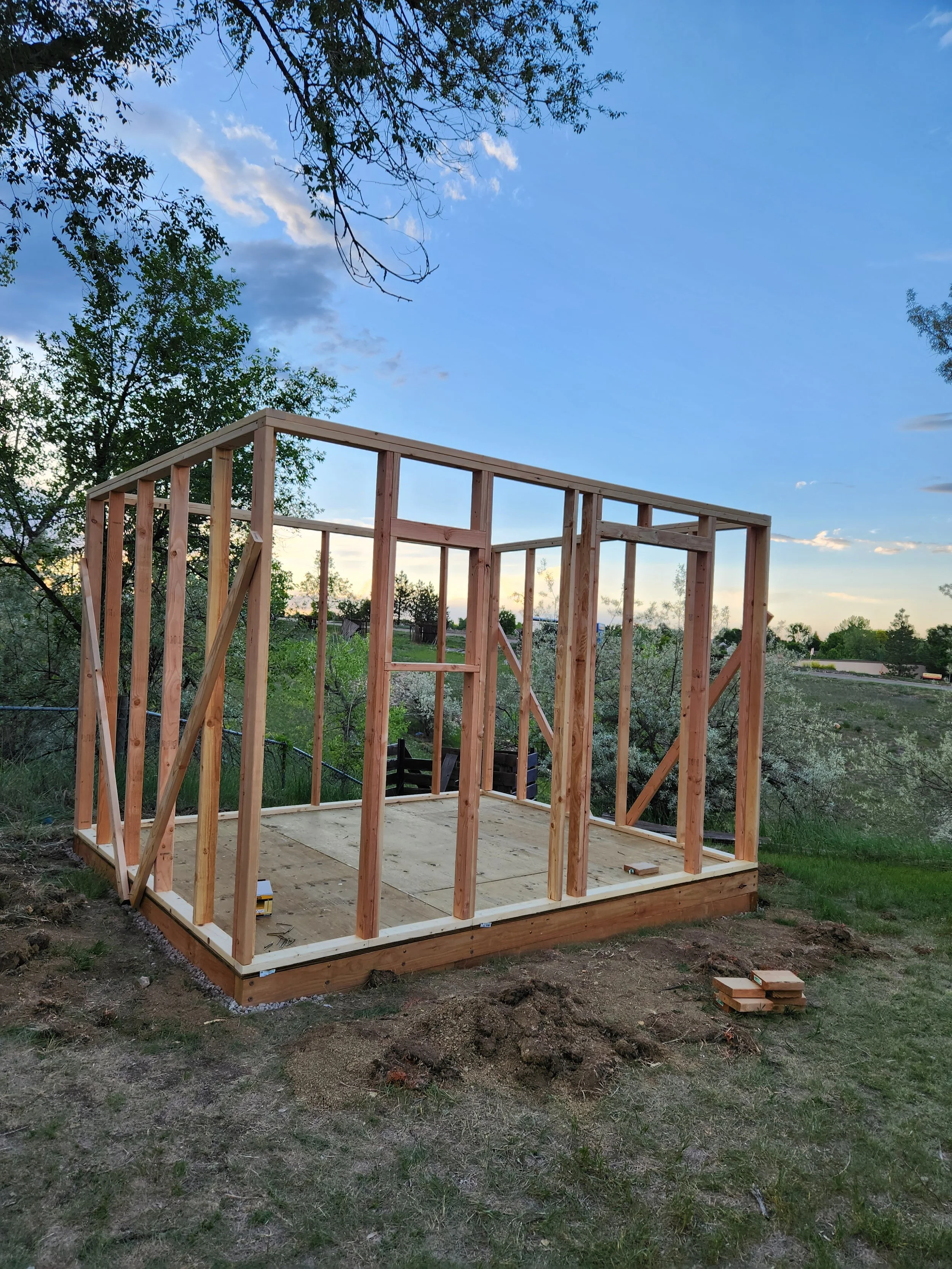 shed framing 1.jpg