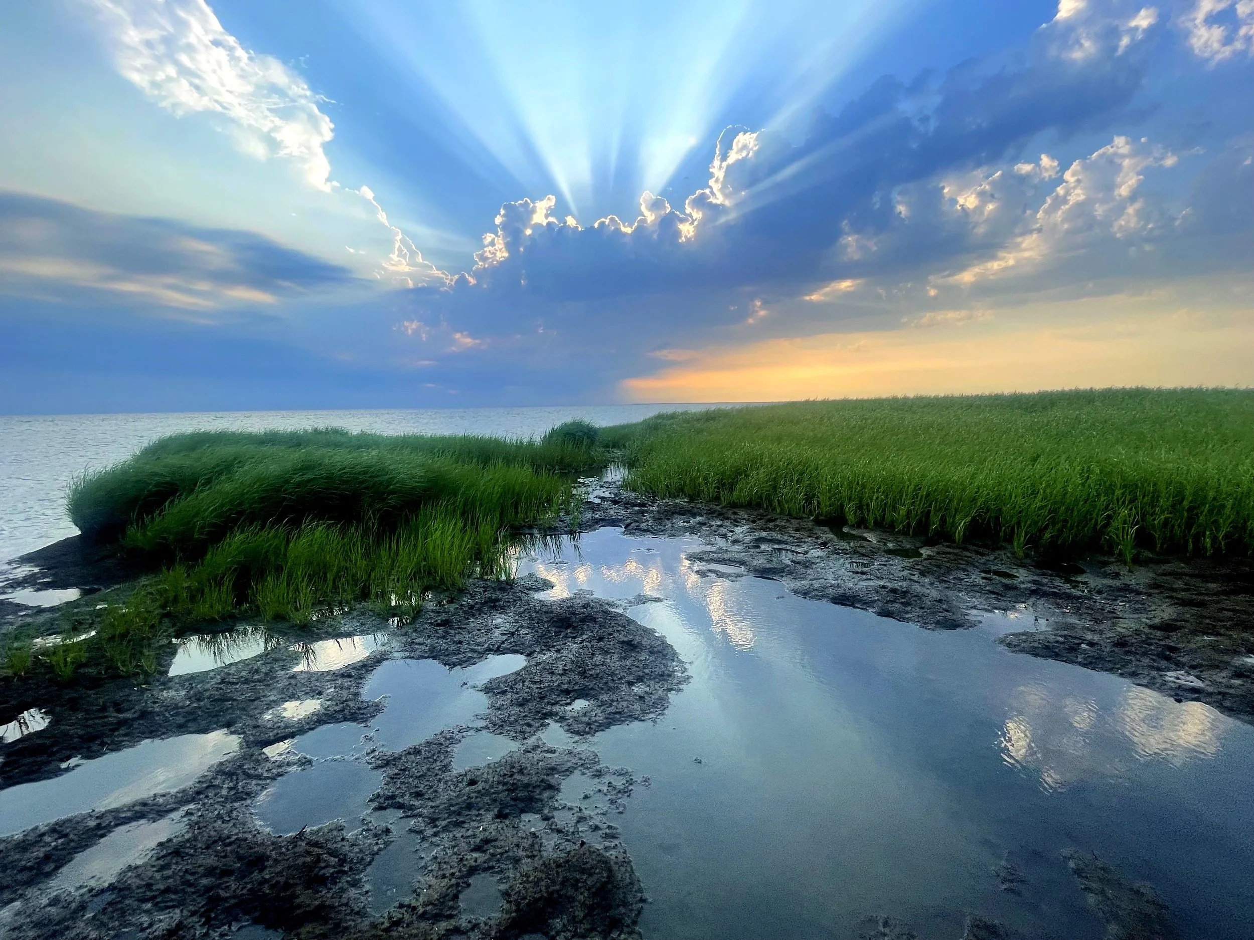 Vivid Reflection