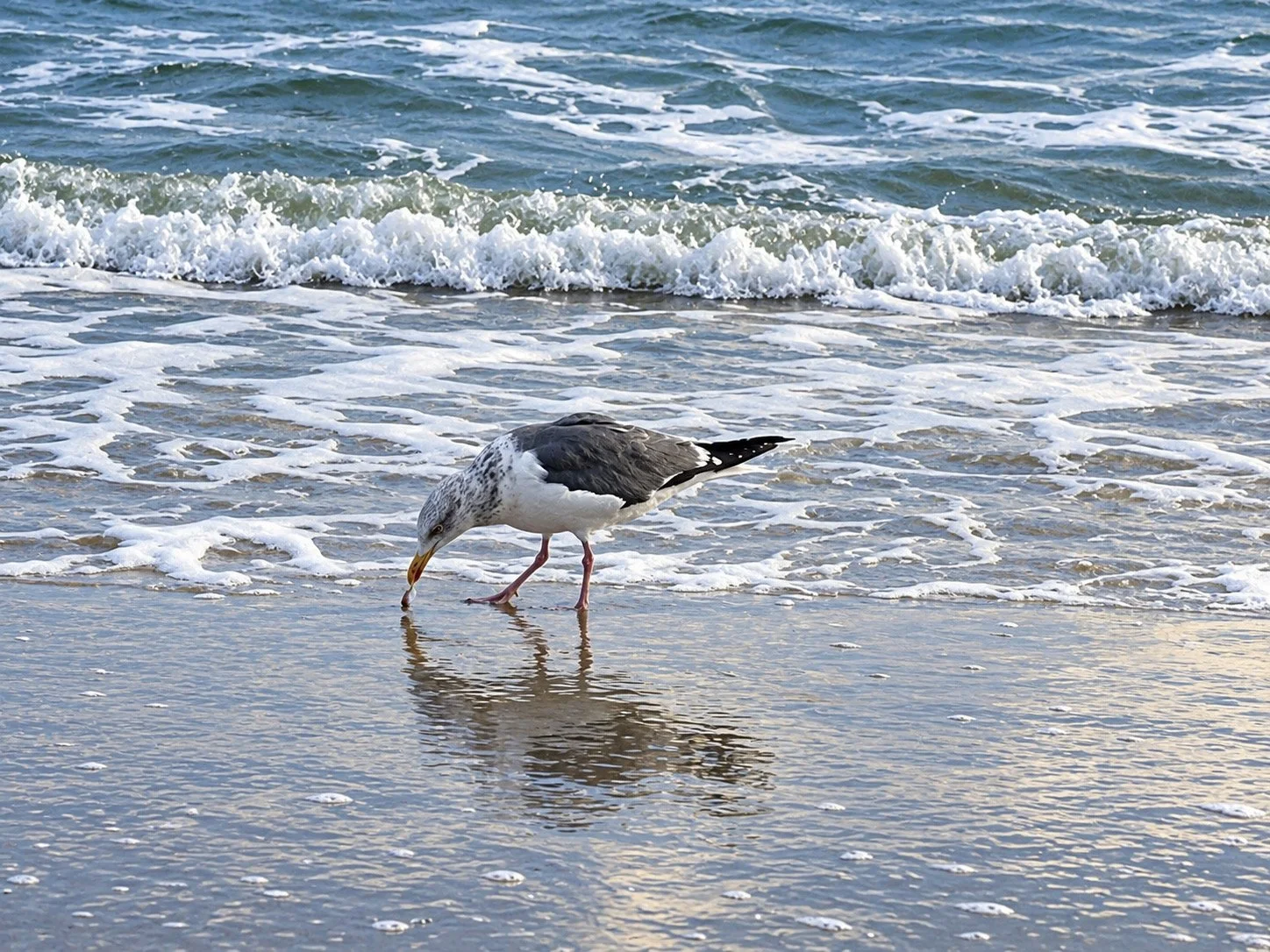 IMG_8462.JPG
