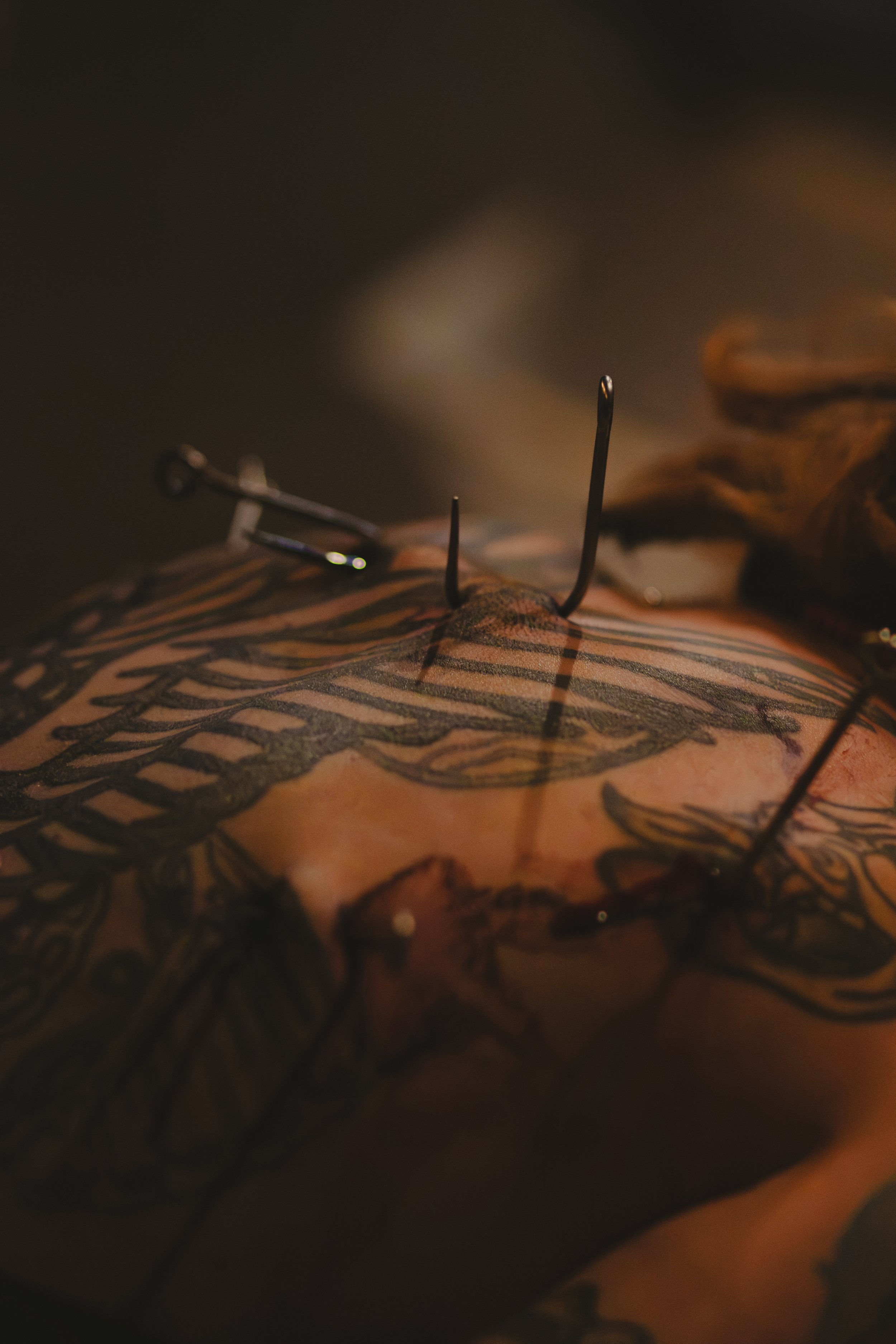 Close-up of Hannah with various suspension hooks in their back.