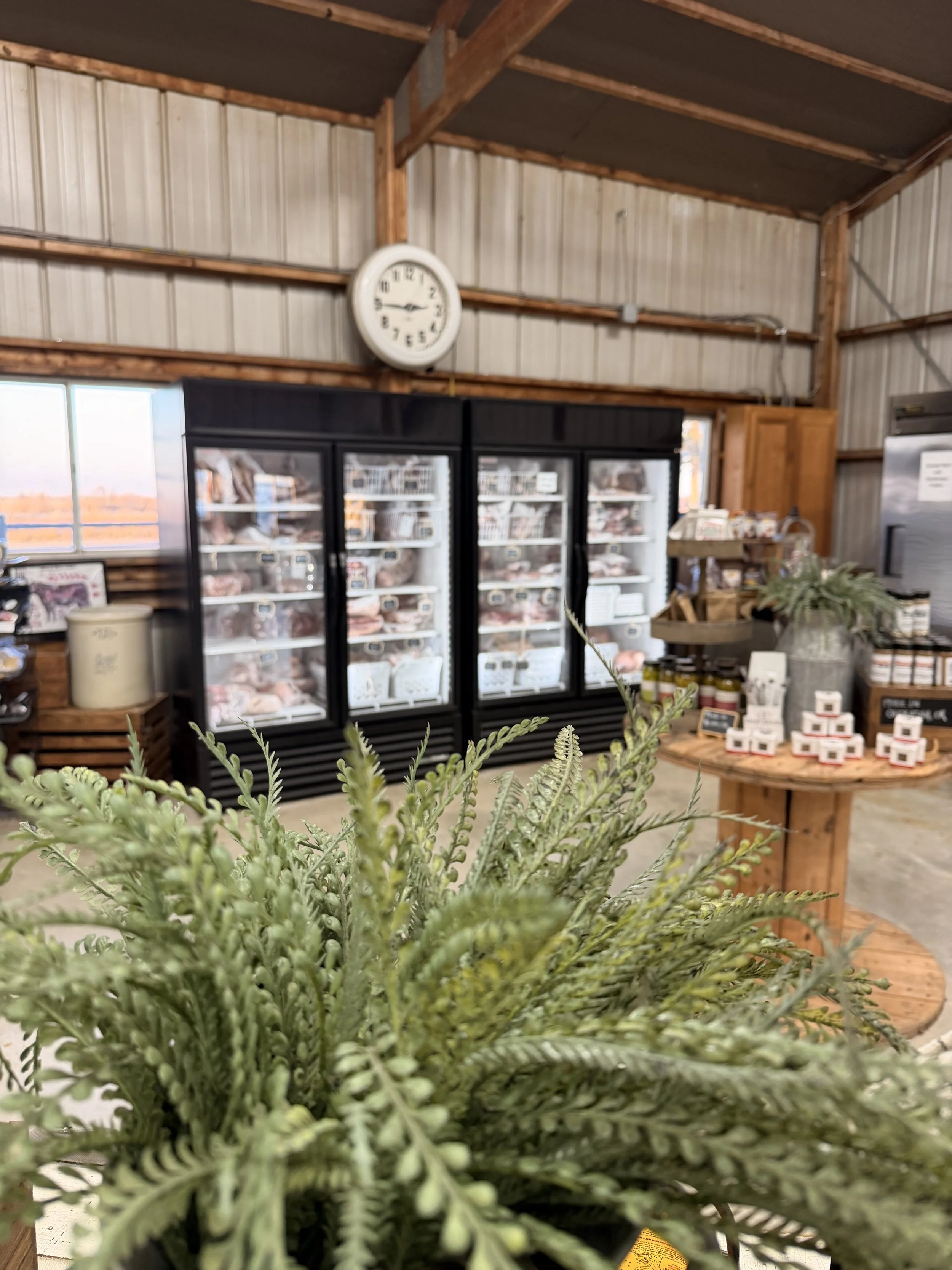 Farm store interior with a wall clock, glass-door freezers, wooden shelves, packaged products, and greenery in the foreground