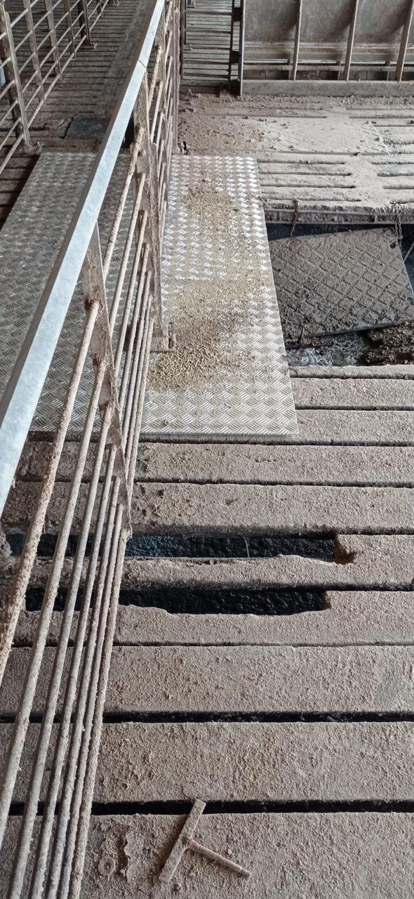 slat de concreto deteriorado en granja porcicola