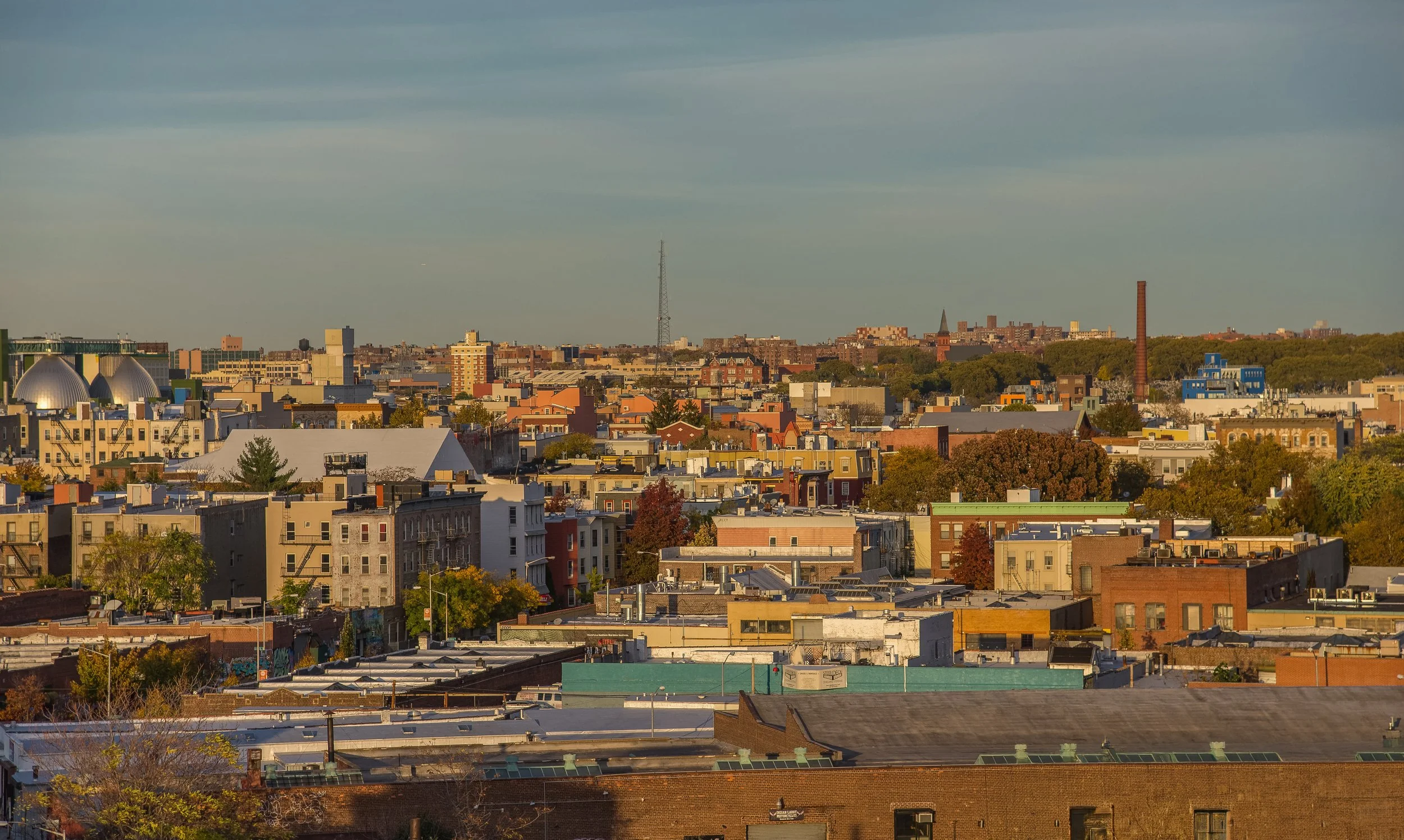 Panoramic view of Brooklyn, New York, featuring dense urban buildings, water towers, church steeples, and industrial rooftops.