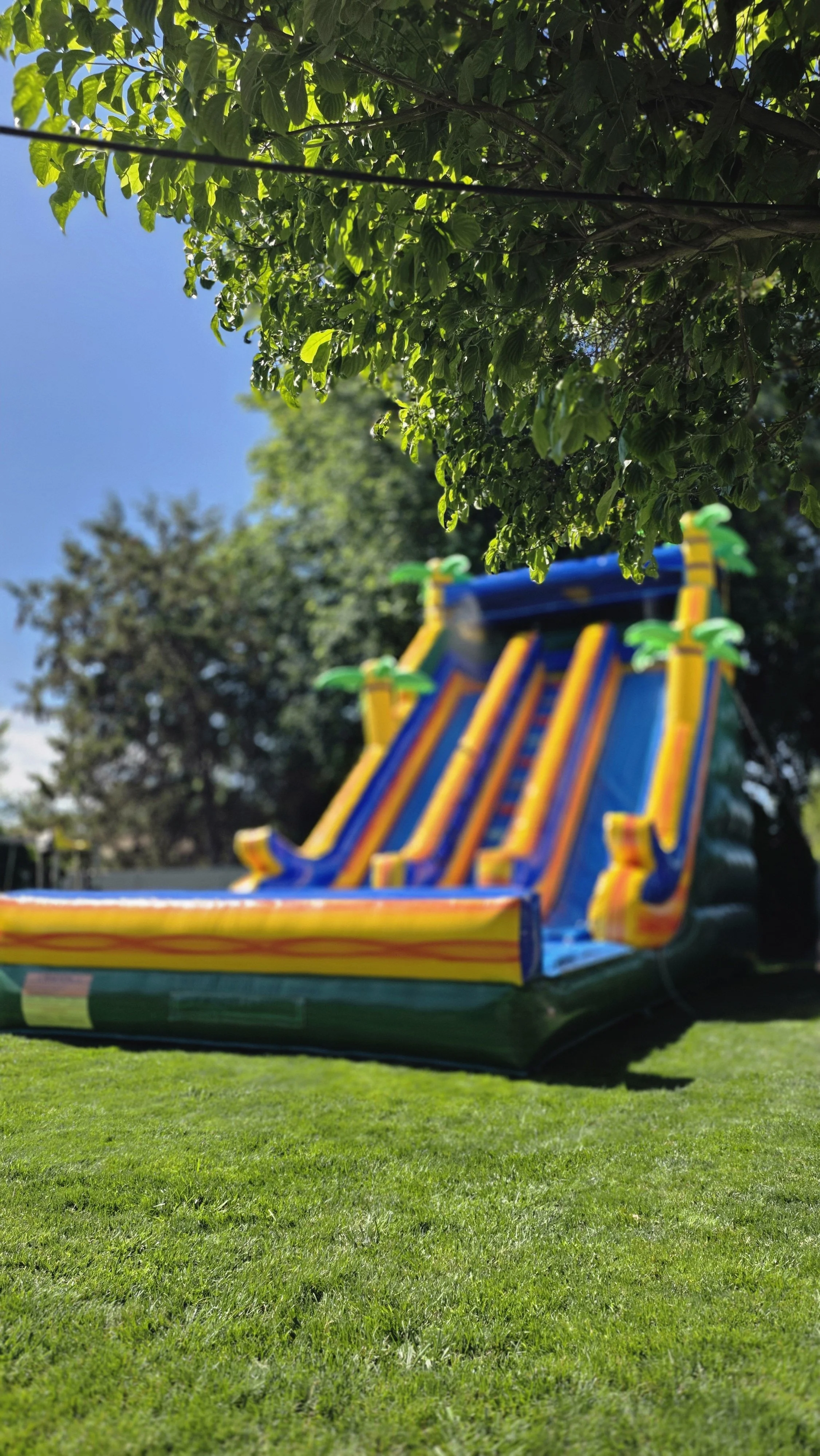 Extra-large Pompeii tropical waterslide set up in a backyard, available for rent in Richland, Kennewick, Pasco and surrounding Tri-Cities communities.