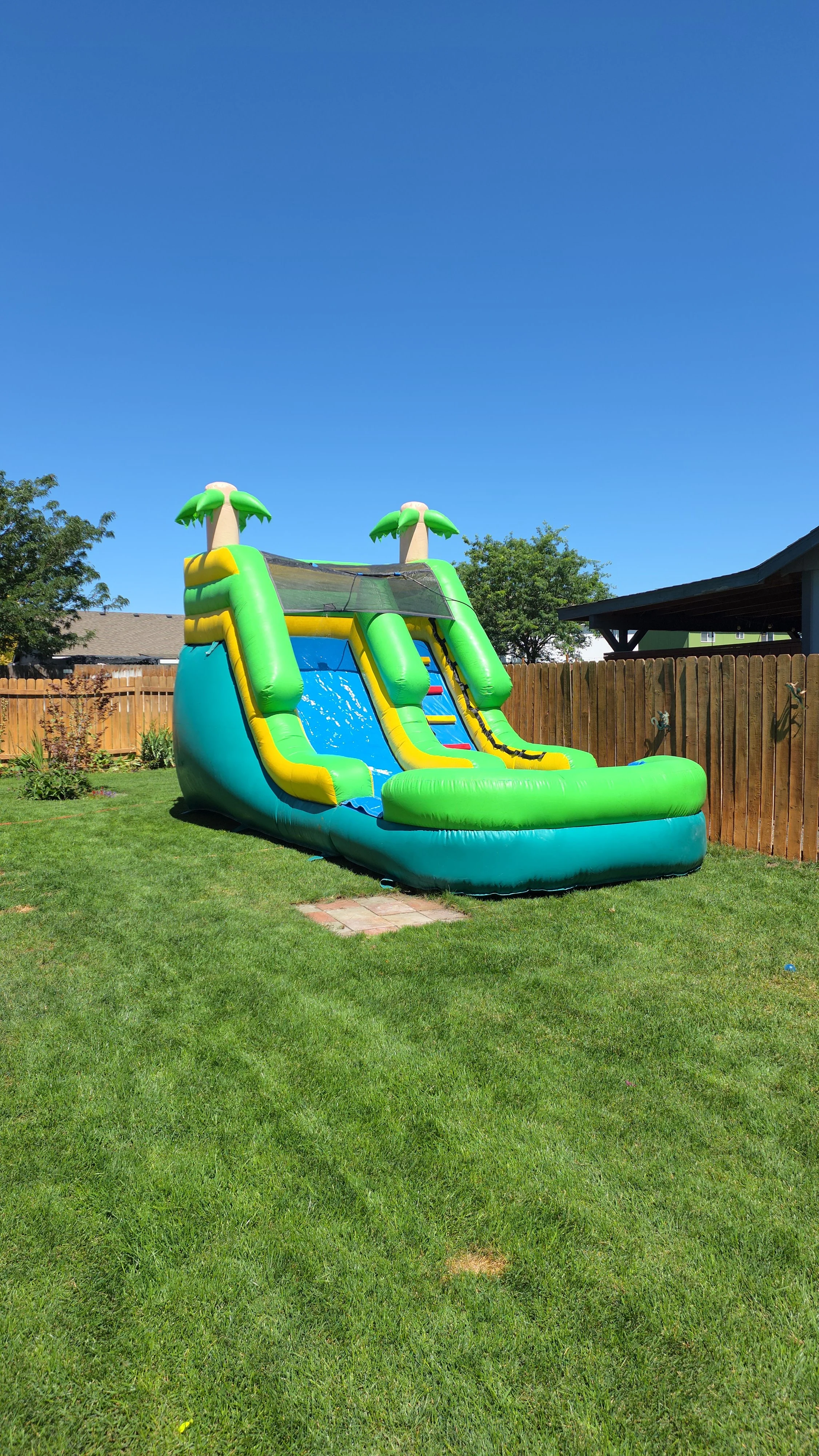 Full view of The Tiki green inflatable waterslide with tropical palm-tree decorations on a grassy lawn beneath a clear blue sky.