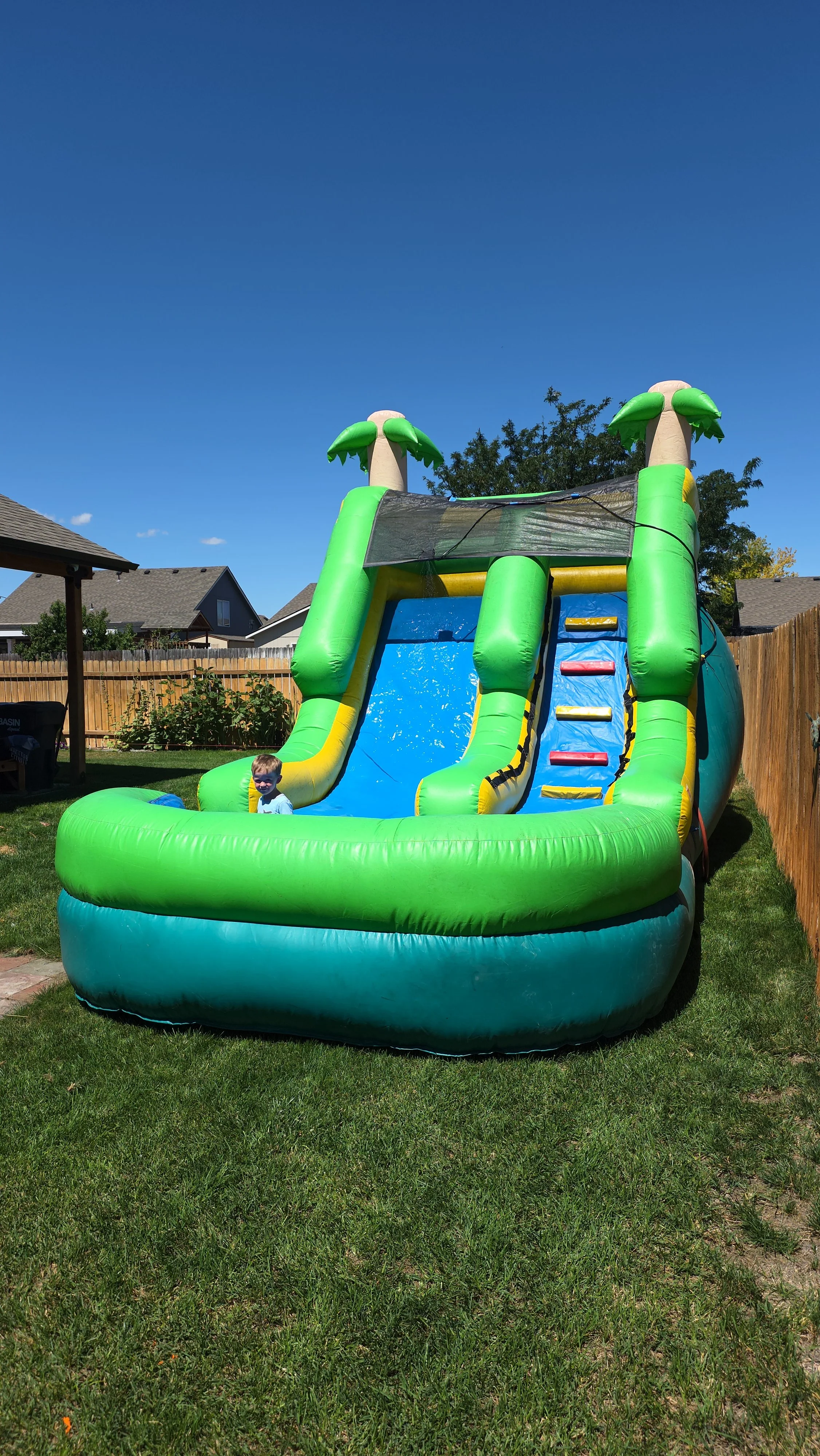 The Tiki tropical inflatable waterslide with green palm-tree decorations set up on a sunny lawn for backyard parties in the Tri-Cities, WA.