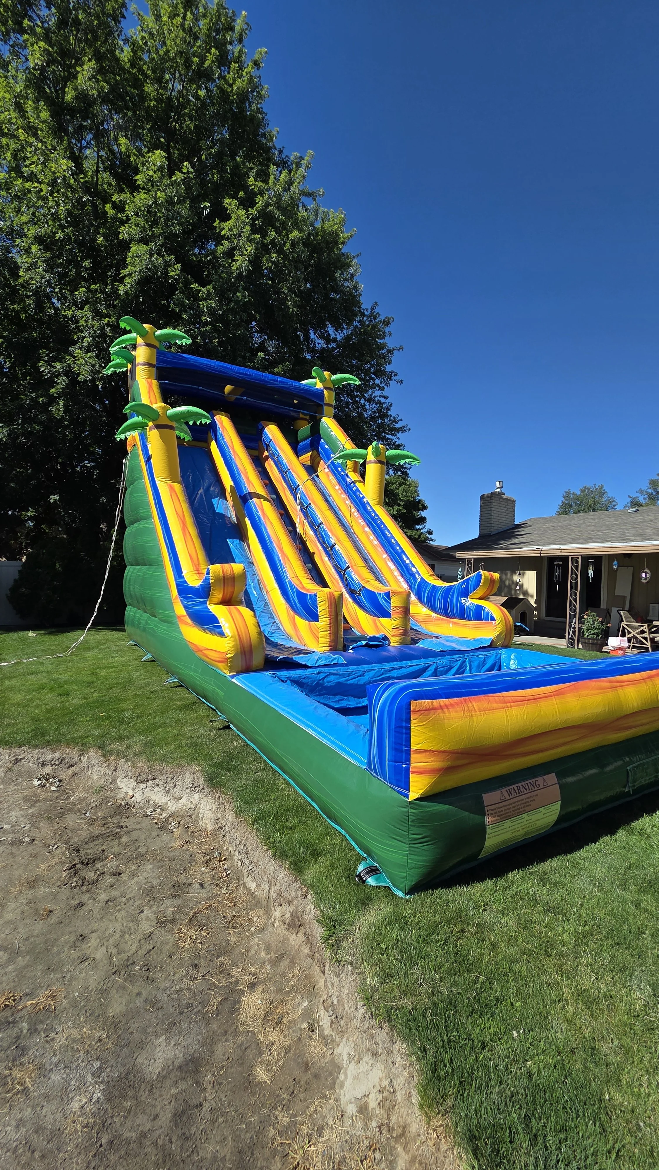Pompeii tropical inflatable waterslide with two racing lanes and a large splash pool, set up on a grassy backyard lawn beneath a clear blue sky.
