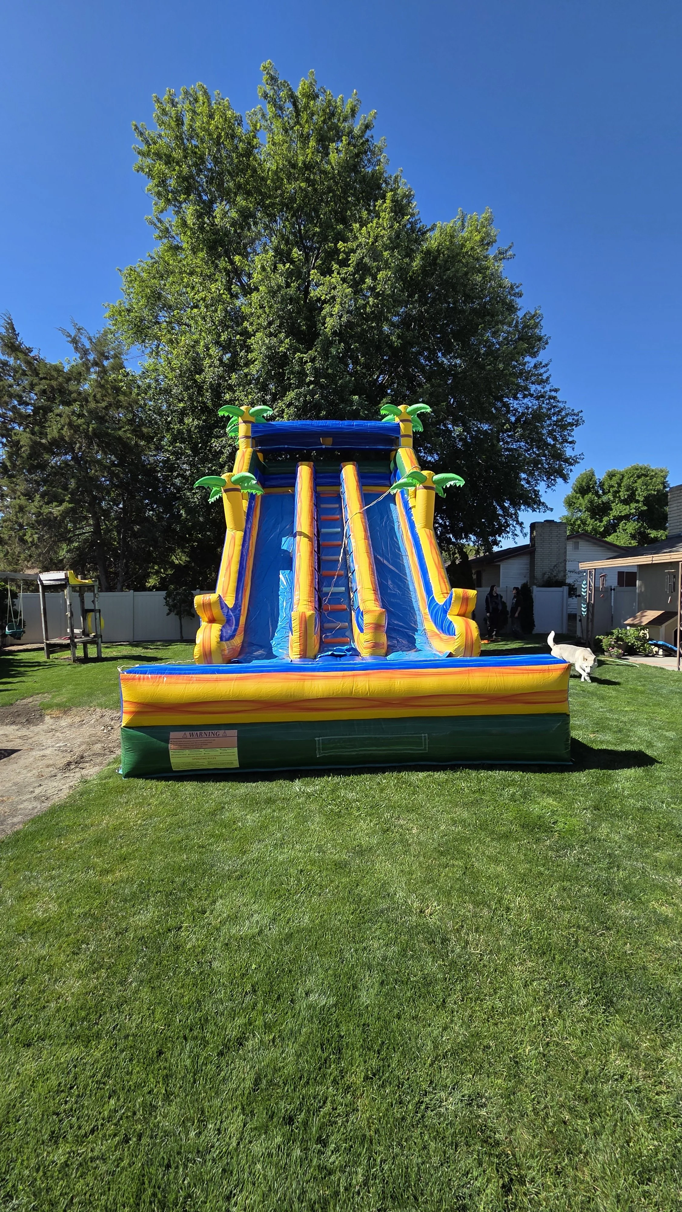Front view of the Pompeii inflatable waterslide with colorful tropical decorations and two separate sliding lanes on a spacious green lawn.