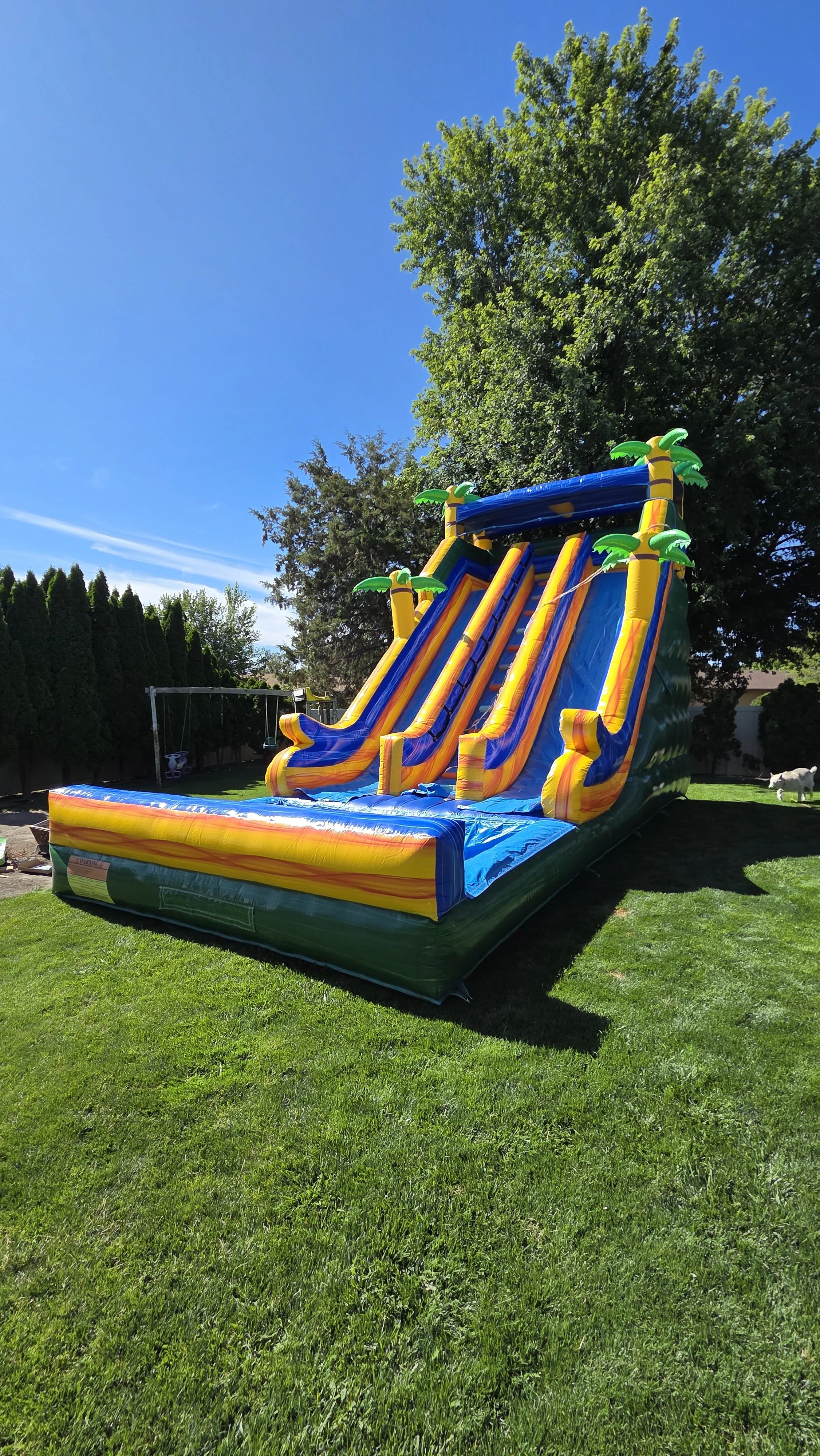 Side view of the Pompeii tropical inflatable waterslide set up outdoors on grass for a backyard party in the Tri-Cities, Washington.