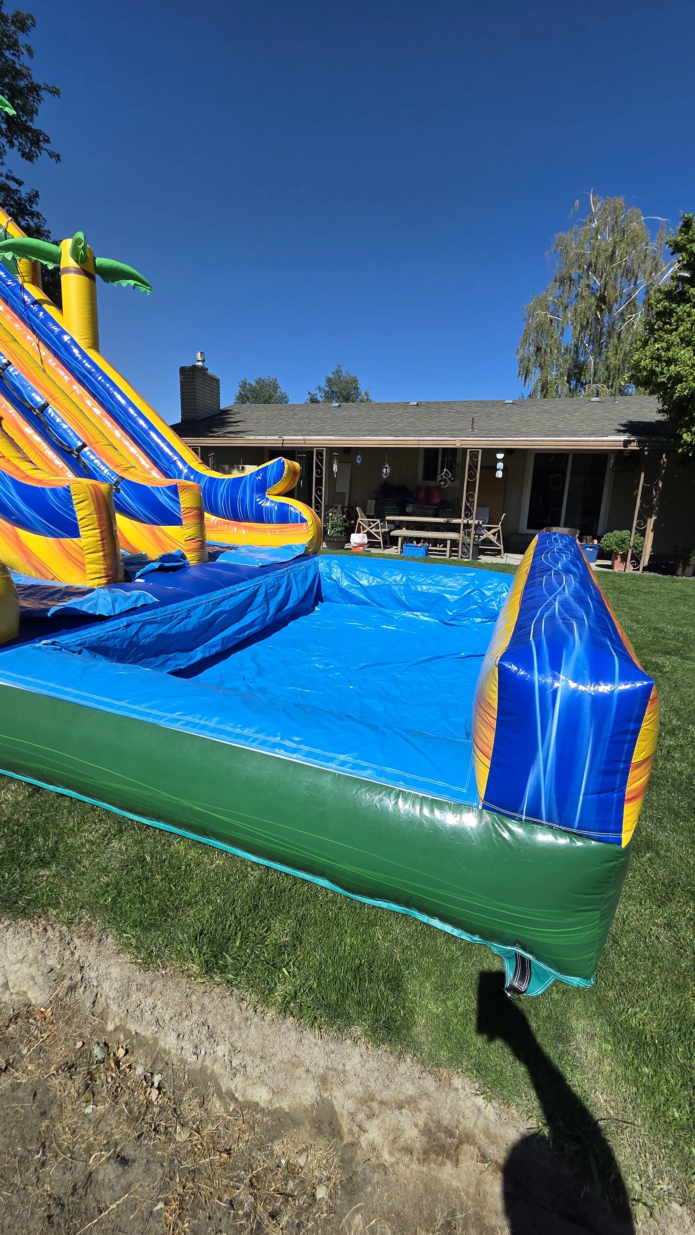 Pompeii large splash pool Colorful tropical inflatable waterslide with palm-tree decorations and a blue splash pool set up on a sunny backyard lawn.