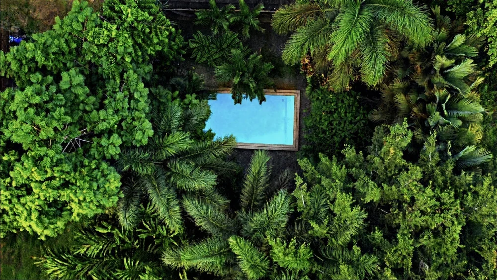 Cahuita or Puerto Viejo: Which Is Better for a Retreat?