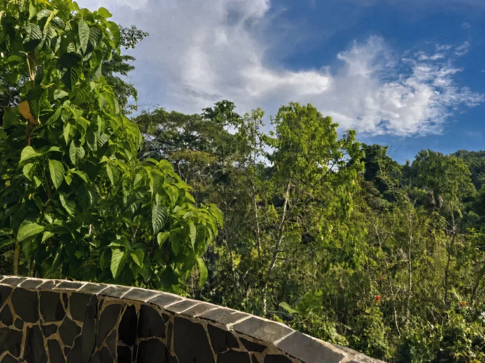 Is Puerto Viejo Too Rustic for a Wellness Retreat?