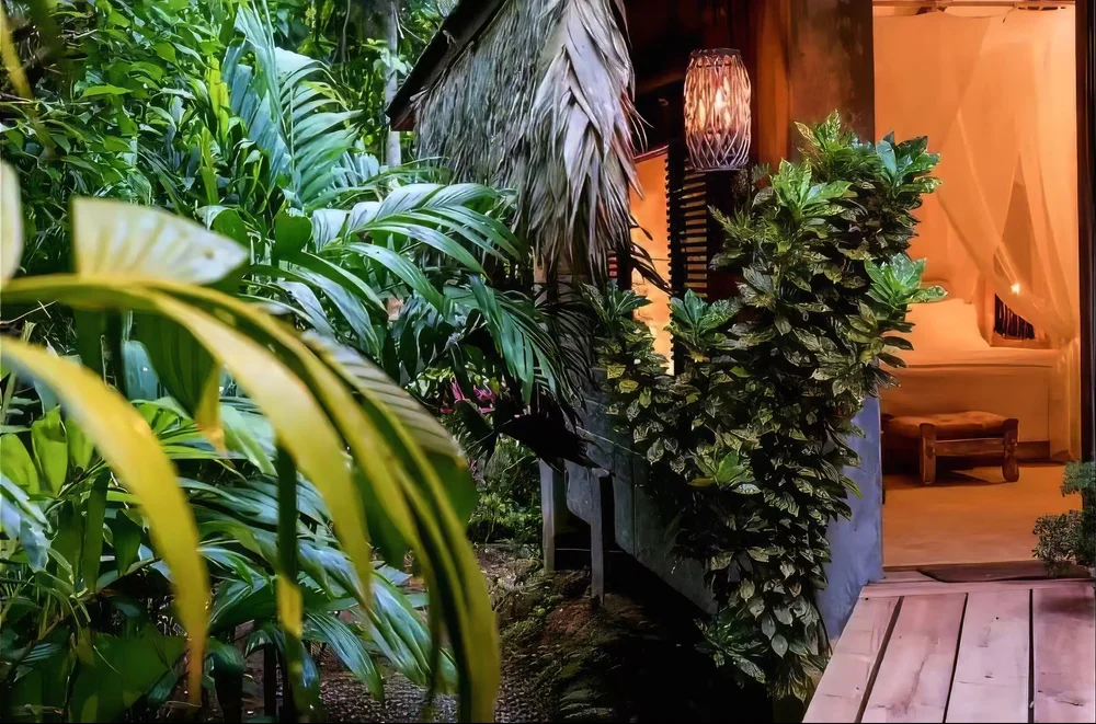 Tropical plants framing the doorway into a Casa Del Soul bedroom