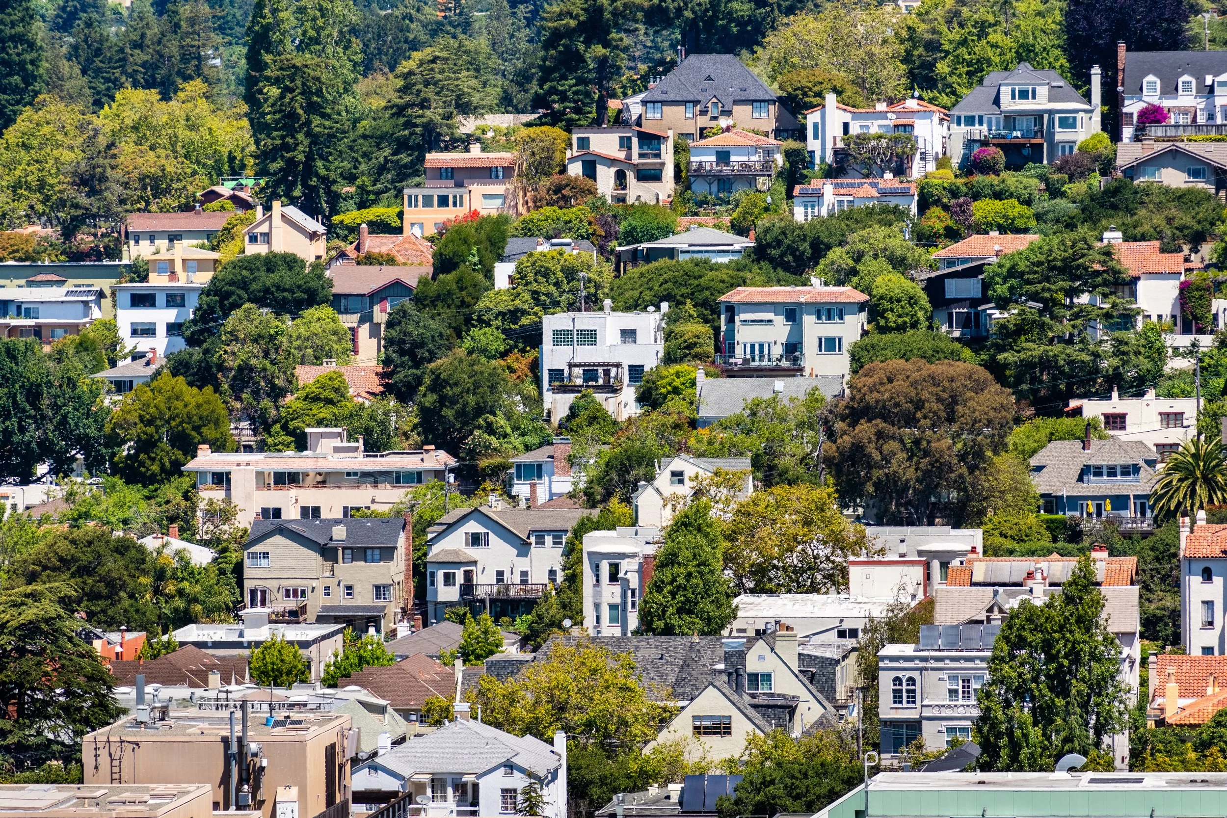 Scenic view of a hillside neighborhood with numerous houses and lush green trees.