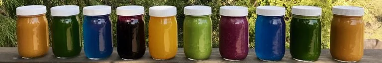 Row of colorful Green Your Spirit juices, elixirs, smoothies, and coconut water in glass jars outdoors