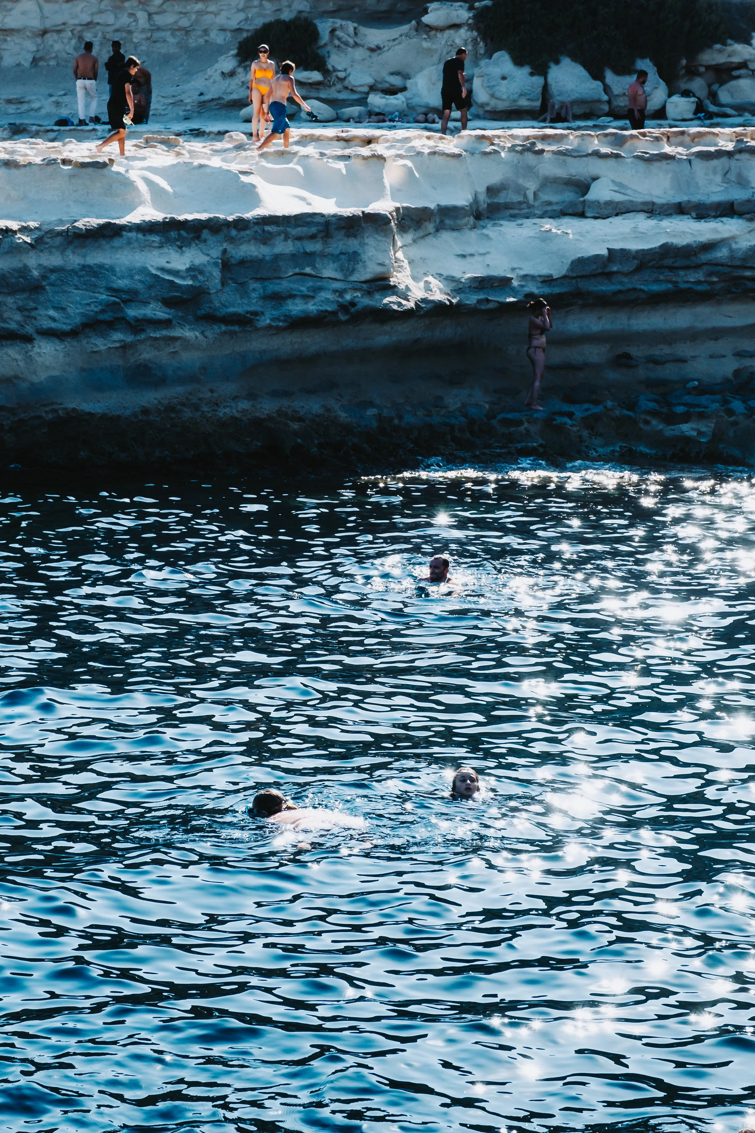 DSCF8446.jpg